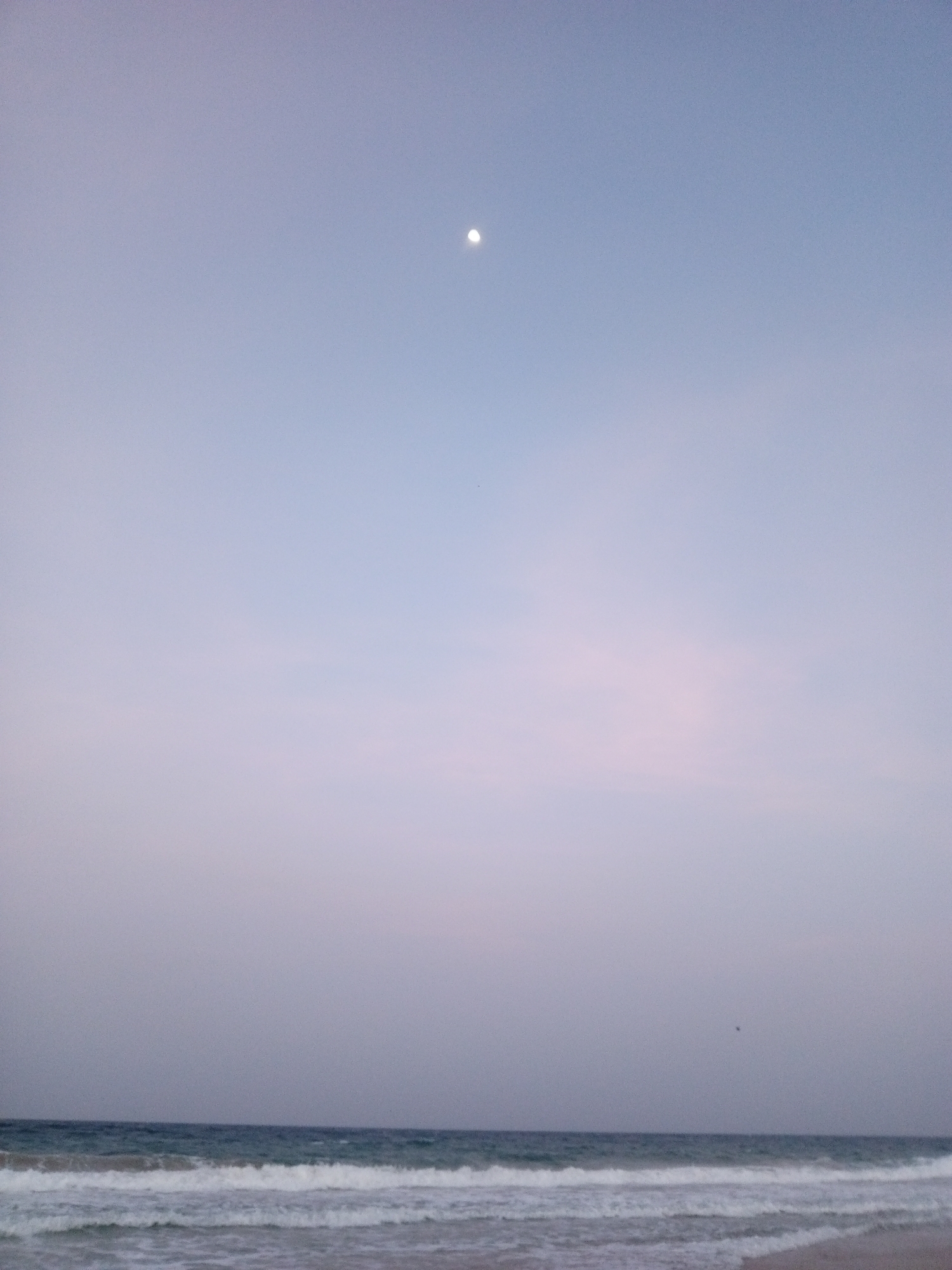 The image shows a beach scene, likely taken at dusk or dawn, in Porlamar, Venezuela. The sky occupies most of the frame, transitioning from a light blue at the top to a pale pink/purple hue towards the horizon. The moon is visible as a small, bright orb near the top center of the image. The ocean is at the bottom of the frame, with gentle waves breaking on the shore. A small bird is flying alone in the distance.