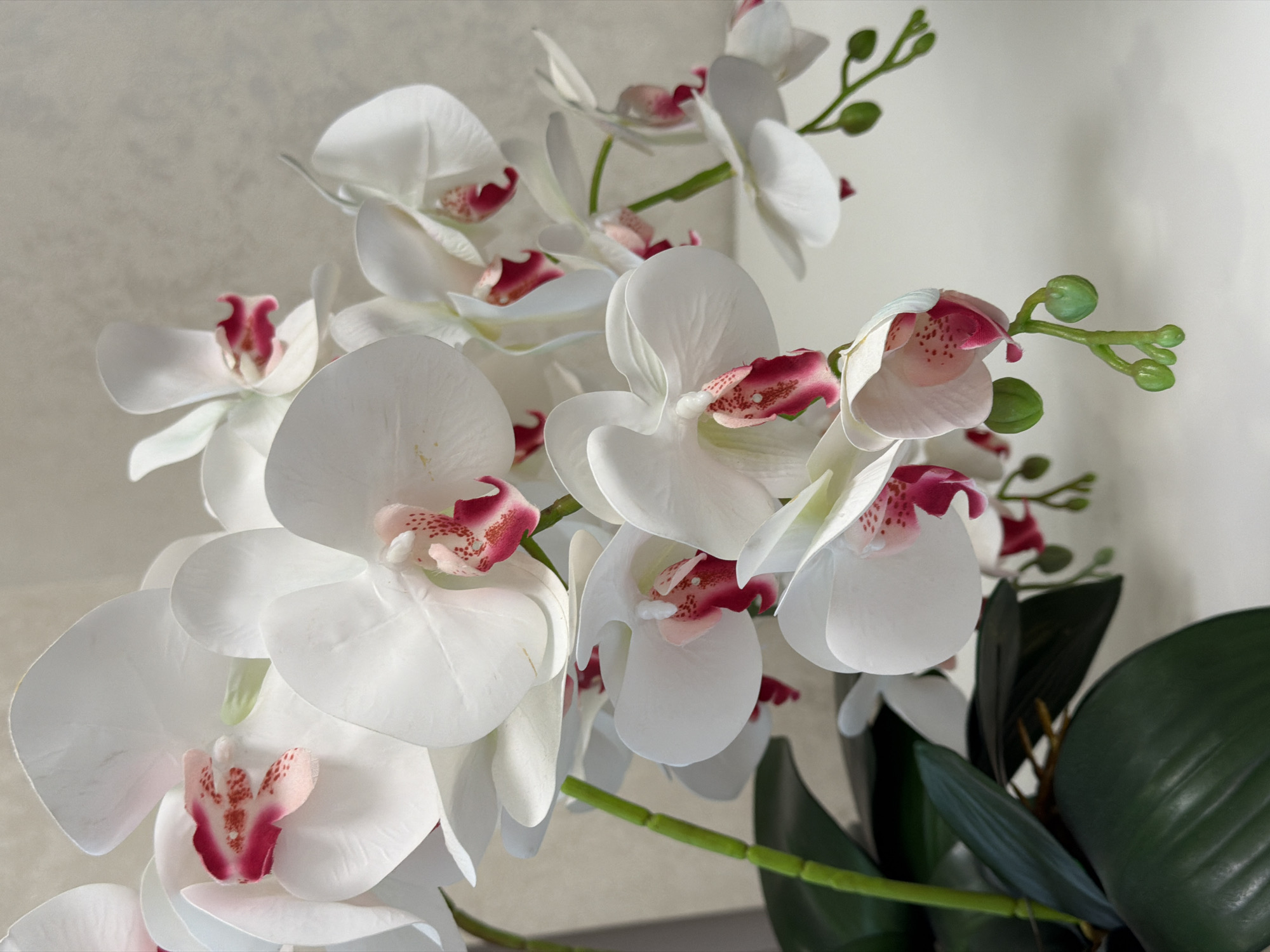 A close-up shot focuses on a cluster of artificial white orchids with pink and crimson markings in their centers. The blooms are arranged on green stems, some of which have small green buds. The orchids are presented in what appears to be a home or studio setting, with a neutral, textured background and a plain wall. The lighting suggests it might be daytime, with soft illumination casting gentle shadows. The overall impression is one of elegance and tranquility. There is no visible text in the image.