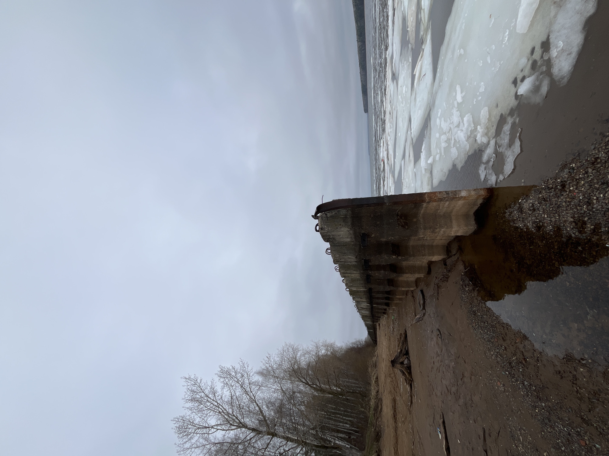 The primary image, when correctly oriented, depicts a stark and quiet wintry or early spring scene along a body of water in Chaikovsky, Russia.
In the foreground and extending towards the mid-ground, a long, weathered concrete or stone pier or breakwater runs horizontally. Along its top edge, numerous rusted metal rings, likely mooring points, are visible. The structure appears sturdy but aged.
To the right of the pier, a large expanse of water, possibly a river or lake, is partially covered with irregular, white and grey chunks of ice, indicating cold temperatures. The water directly beside the pier is dark and reflects little light. A narrow, dark, muddy strip of ground with scattered pebbles runs alongside the concrete structure on the right.
Further back from the pier and across the water, a distant landmass or shoreline with a faint tree line can be seen. To the left and below the pier, a line of bare deciduous trees and shrubs stands on a slightly elevated bank, their branches intricate against the sky.
The sky dominates the upper and left portions of the image, appearing uniformly grey and overcast, suggesting a cloudy day with muted light. The overall mood is quiet and somewhat desolate, characteristic of a cold, off-season landscape. No people are visible, and no specific activities are taking place. There is no discernible text within the image.