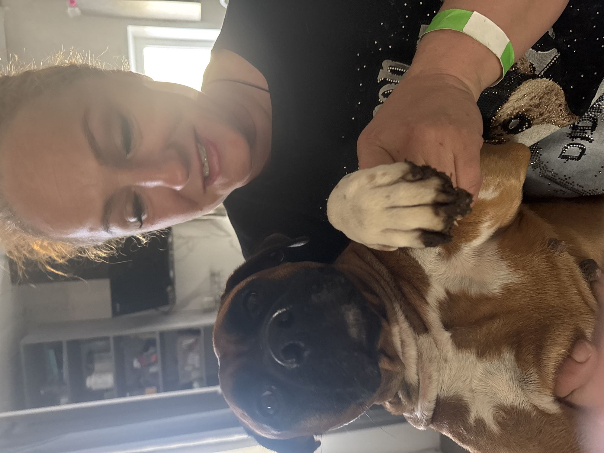 A woman is holding a brown and white boxer dog. The woman has light skin, light brown hair, and is wearing a black shirt with sparkling embellishments. A green and white wristband is visible on her right wrist. The dog is facing the camera with a black nose. The location is implied to be Chaikovsky, Russia. A bright window is visible in the background. There are shelves in the background.