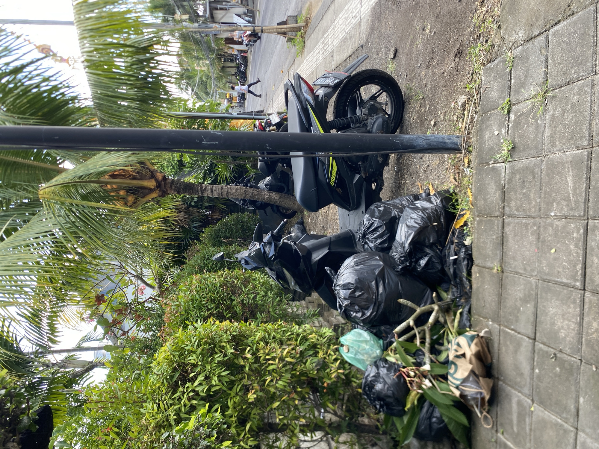 In Mengwi, Indonesia, a street scene unfolds with a focus on the sidewalk and the adjacent road. Several black trash bags are piled on the sidewalk, some partially covered by fallen leaves and branches. A single translucent green trash bag is also visible among the black ones. In front of the trash, a brown paper bag with a green logo lies on the ground. Two dark-colored scooters are parked near the trash bags, with one prominently in the foreground. A black pole stands vertically on the sidewalk, positioned between the trash and the road. The road itself is paved and shows traffic, including multiple scooters and a few cars in the distance. A person in a white shirt and dark pants walks on the road, and another person stands near a scooter on the road. The environment is characterized by lush green foliage, including palm trees and dense bushes, lining the area. The ground is a mix of paved tiles on the sidewalk and asphalt on the road, with some patches of dry grass and dirt. The lighting suggests it is daytime.