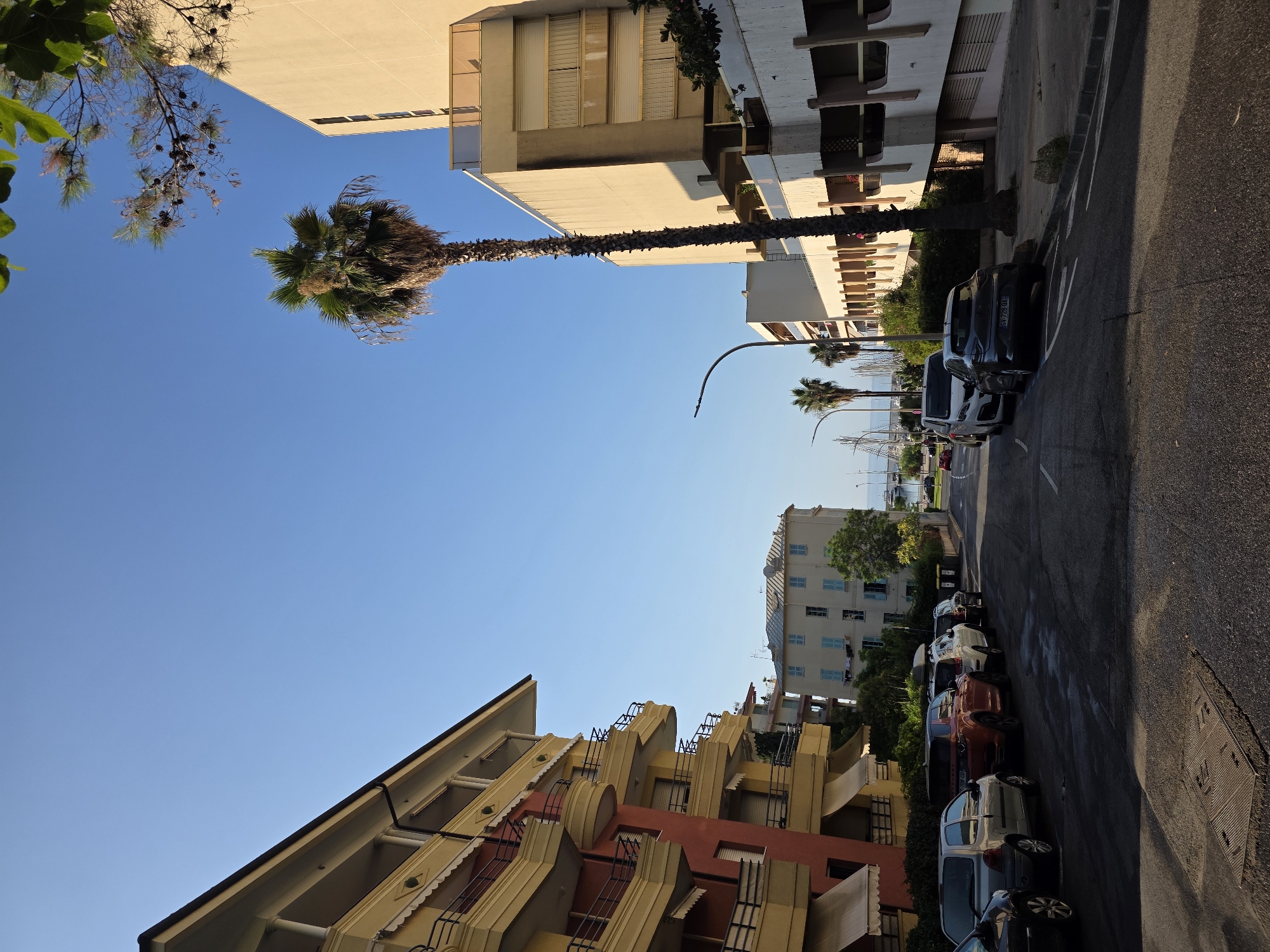 A street in Menton, France, with buildings and parked cars under a clear blue sky. On the left, a yellow and red multi-story building with balconies faces the street. Across the street, a tall palm tree stands in front of a modern beige building. Further down the street, several cars are parked along the side, including a silver hatchback, an orange SUV, and a white SUV. In the background, a light blue, old-fashioned building with green shutters is visible, along with trees and masts of sailboats in a harbor. The street is paved and has white lane markings. The lighting suggests it is late afternoon or early morning, with long shadows cast by the buildings and trees.