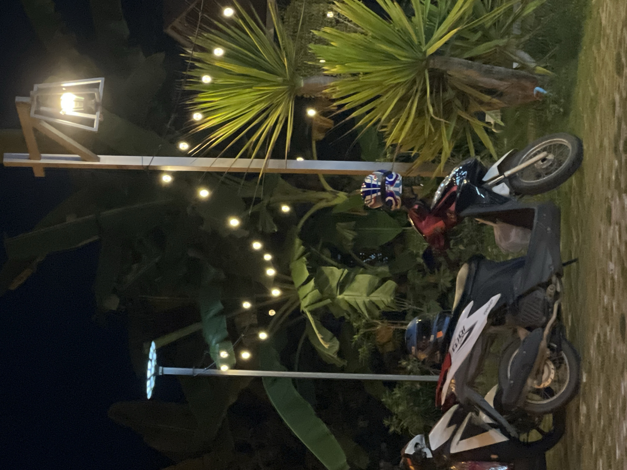 In this nighttime outdoor scene, two scooters are parked on a gravel and grass surface. The scooter on the left is primarily white and black. The scooter on the right is red and black, with a blue and white helmet placed on its seat. A tall pole with a lantern-style light fixture stands to the right of the scooters, illuminating the area. Behind the scooters, various plants are visible, including large banana leaves and spiky, palm-like foliage. String lights are strung between poles and trees, creating a festive atmosphere. Another taller pole with a circular light fixture is visible to the left. The background is dark, suggesting it is nighttime.