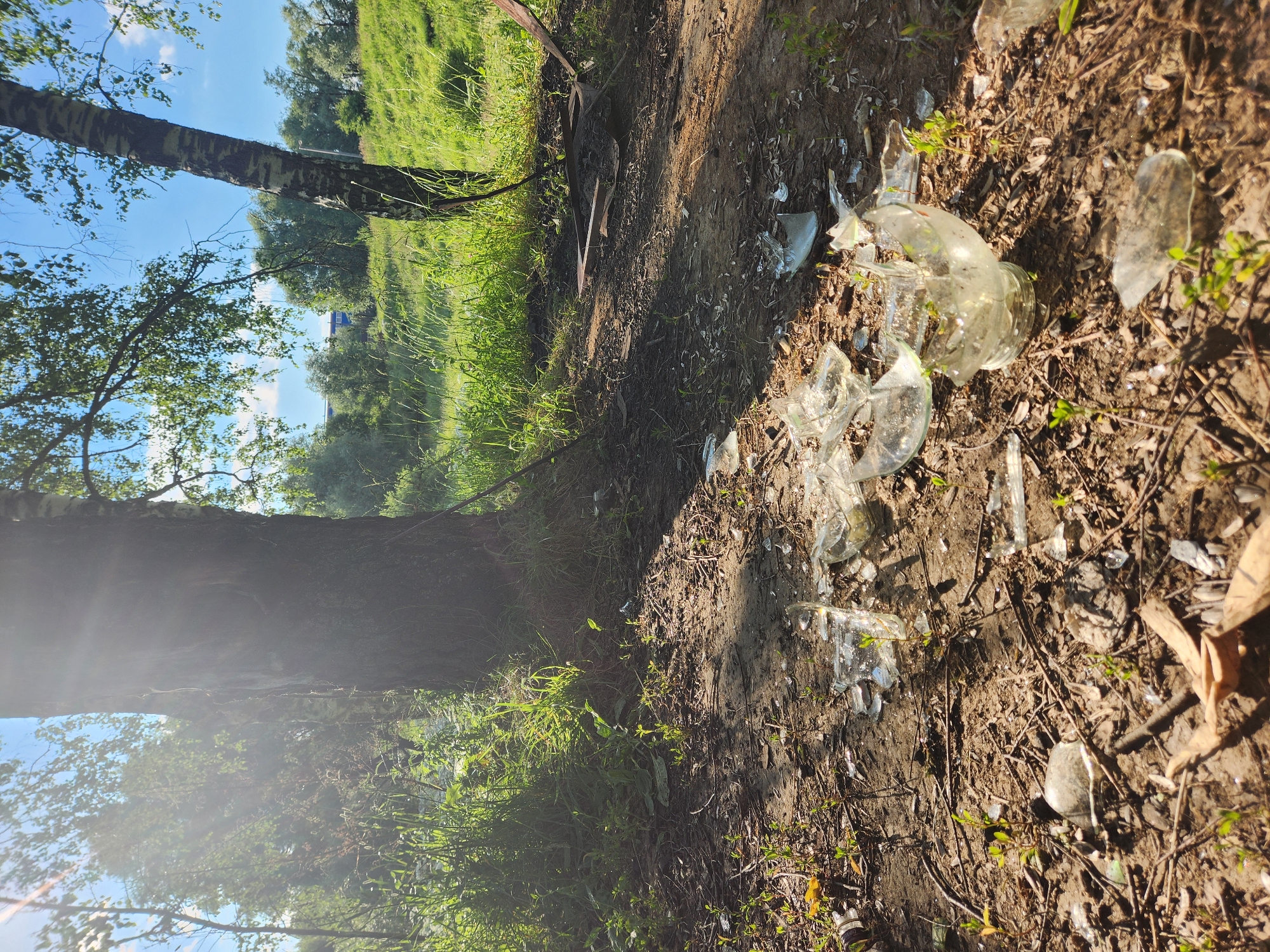 This media file depicts a scene of nature with visible signs of human impact. The primary subjects are the natural environment, characterized by a grassy hillside, trees, and a dirt path, and shattered glass bottles strewn across the ground.
The scene appears to be an outdoor setting, likely a wooded or park-like area. The presence of a large tree trunk in the foreground, with its bark clearly visible, suggests a natural environment. The ground is covered with dirt, dry leaves, and small green sprouts, indicating a potentially dry or late-season condition. A significant detail is the presence of broken glass, some of which appears to be from clear bottles, scattered among the natural elements. This suggests an act of littering or vandalism.
The lighting and shadows in the image suggest it was taken during the daytime, with the sun casting distinct shadows across the ground. The sky, visible in the upper portion of the image, appears to be a clear blue with some white clouds, indicating fair weather. The overall mood is one of environmental neglect juxtaposed with the beauty of nature.
There is no visible text in the image. The location context provided is Yudino, Russia, which could imply a rural or suburban fringe area where such littering might occur. No people are visible in the media file. The activity, if any, is implied to be past - the act of breaking and discarding the bottles has already occurred, leaving the aftermath.