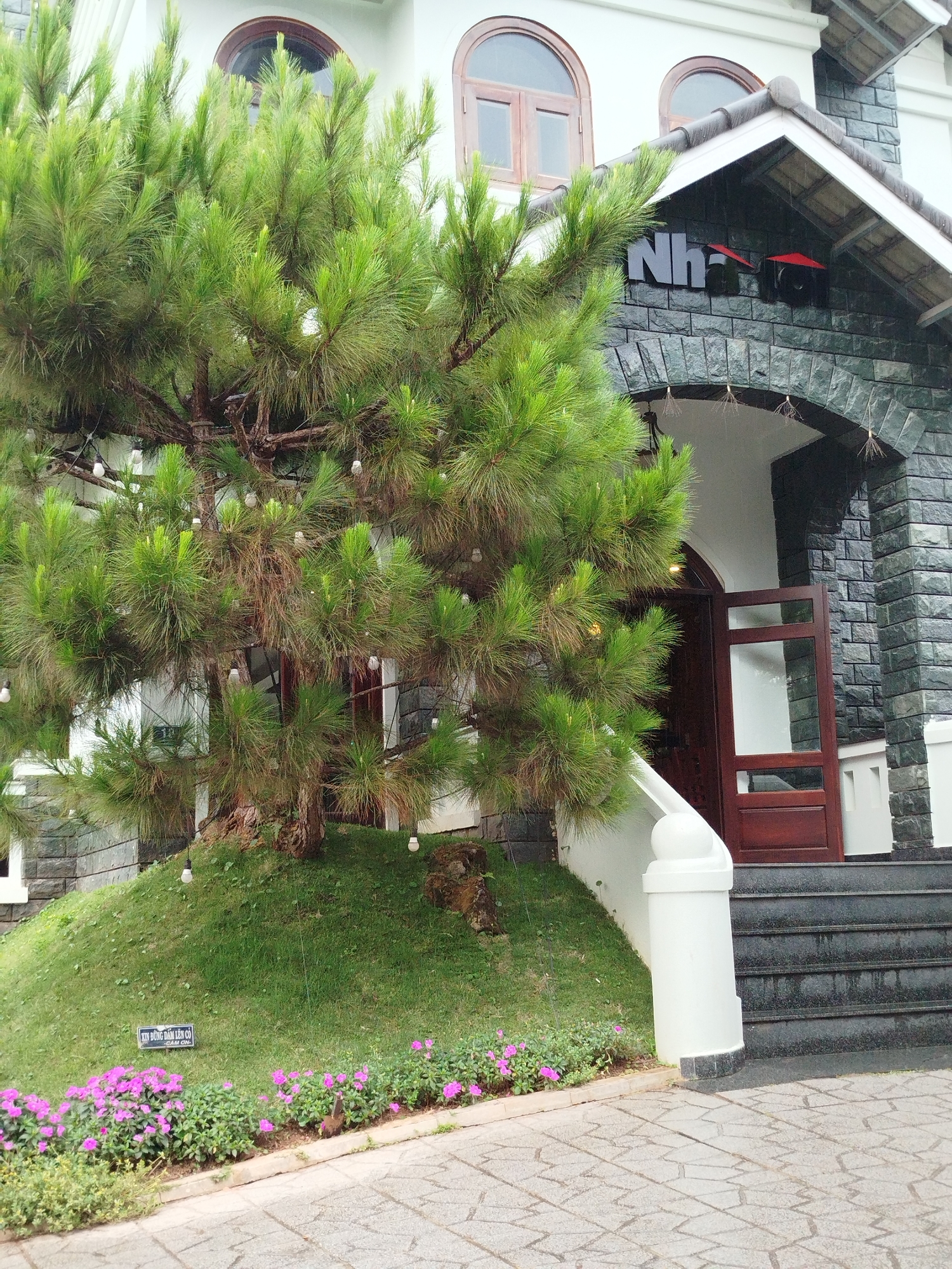 The image shows a building with a stone facade and a sign reading "Nha" above the entrance. A large pine tree, adorned with strings of lights, partially obscures the building. The tree is planted on a grassy knoll bordered by pink flowers. A set of dark stairs leads to the building's open doorway. The scene appears to be in Da Lat, Vietnam, judging by the style of the architecture and vegetation. There are no people visible in the image.
