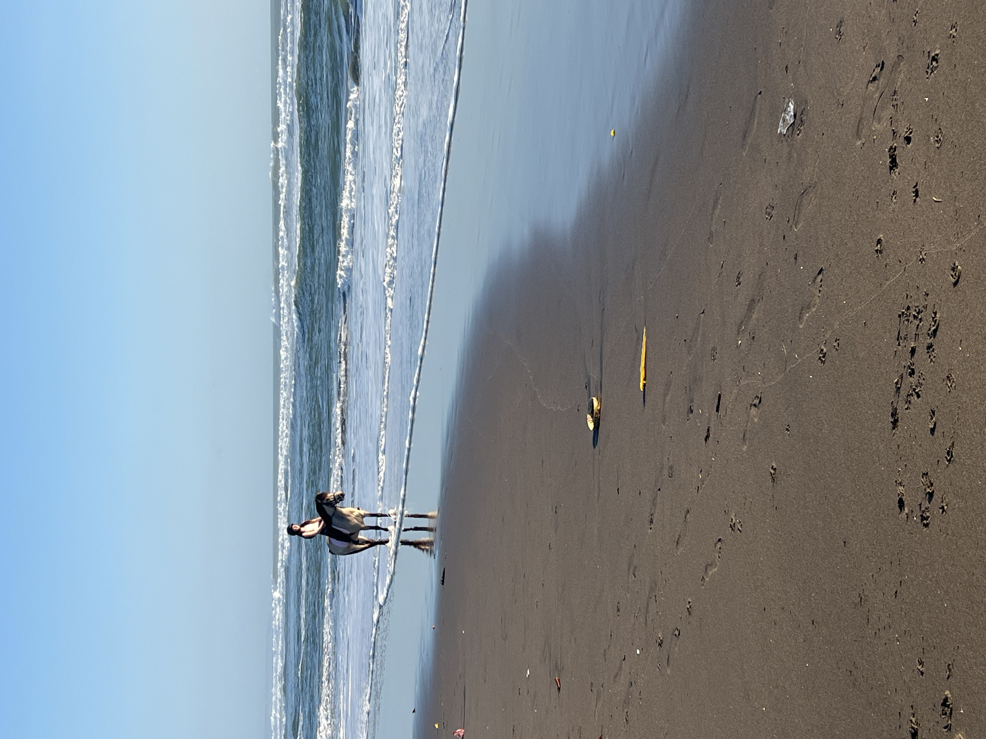 A person is riding a horse on a beach with a clear blue sky and a calm sea. The horse is standing in shallow water near the shore, and the rider is wearing a helmet and dark clothing. The beach is sandy with some debris scattered on it, including a yellow object and a piece of plastic. The water is clear and the waves are small. The overall scene suggests a peaceful and serene moment. This scene does not take place in the city of Kediri, Indonesia, as Kediri is an inland city and does not have a coast.