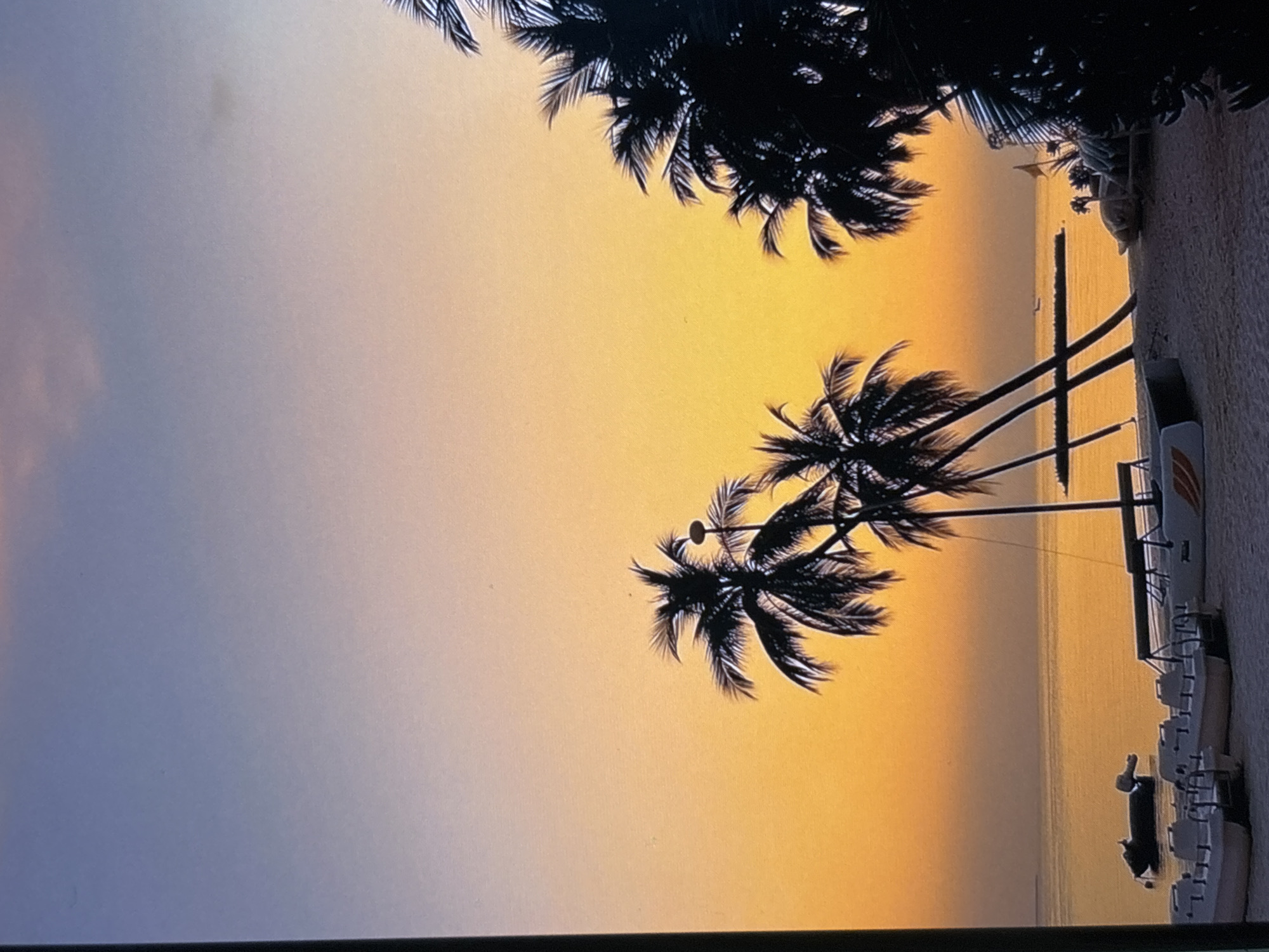 The image shows a beach scene, likely taken during sunset. Palm trees are silhouetted against a gradient sky transitioning from blue to orange. A beach is to the right, with several small sailboats lined up. There are white chairs on the beach. The location cannot be determined as Belopoptsi, Bulgaria.
