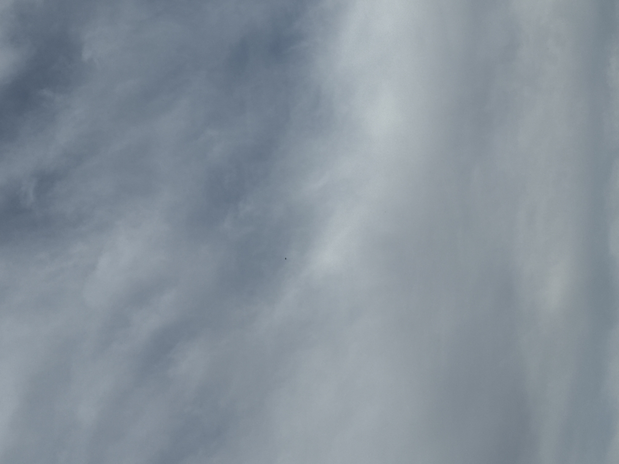 The image shows a gray, cloudy sky. There is a small black object, possibly a bird or an insect, in the upper-middle portion of the frame. The clouds are diffused and appear to be layered, with some areas being denser and darker than others. There is no discernible landscape or city visible. The location is identified as Орловка, Russia, but this information cannot be confirmed from the image itself.