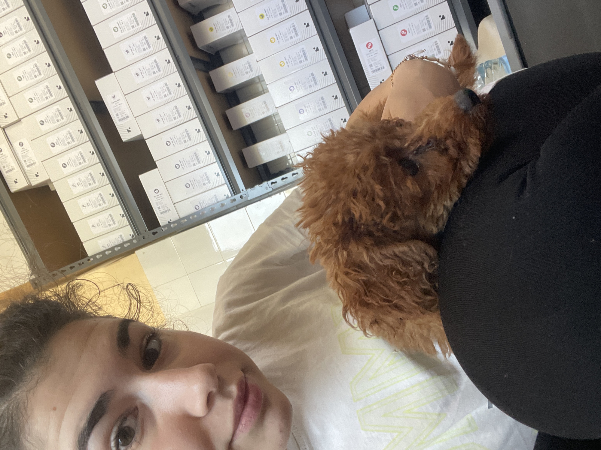The image captures a casual indoor scene in Sofia, Bulgaria, featuring a young woman and a small, curly-haired brown dog. The woman is in the foreground, taking a close-up selfie while reclining comfortably on a light-colored pillow or blanket. She has dark hair, a relaxed expression, and a subtle smile. A gold-colored chain is visible on her right wrist. She is wearing black pants or leggings.
Resting against the woman's left leg or hip is a reddish-brown dog, resembling a poodle, appearing to be asleep or at rest.
The background is dominated by metal storage shelves filled with numerous, uniformly stacked white boxes. This setup suggests a storage room, a home office, or a workspace where inventory is managed. The floor in the background appears to be tiled.
Each white box features a label. These labels prominently display a black circular logo with a small dot inside, often accompanied by a smaller colored circle in hues such as yellow, green, purple, or red. Visible text fragments on the labels include numbers like "3970" next to a red logo, and partially obscured words resembling "PLAY BOX" or product codes. Barcodes or QR codes are also present on the labels. The overall lighting suggests it is daytime.