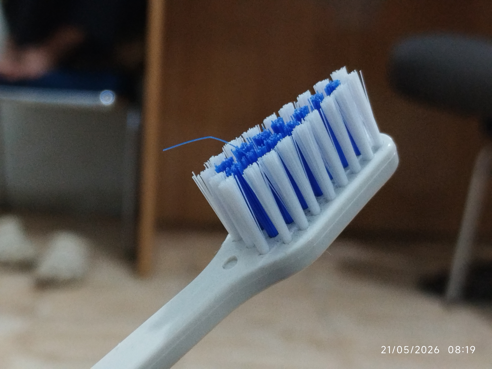 A close-up image shows a toothbrush with blue and white bristles. A single, thin blue strand is caught amongst the bristles. The toothbrush is white. The background includes blurry furniture and a floor. A timestamp at the bottom right corner reads "21/05/2026 08:19." There are no discernible details to pinpoint a location in Lhokseumawe, Indonesia. No people are clearly visible.