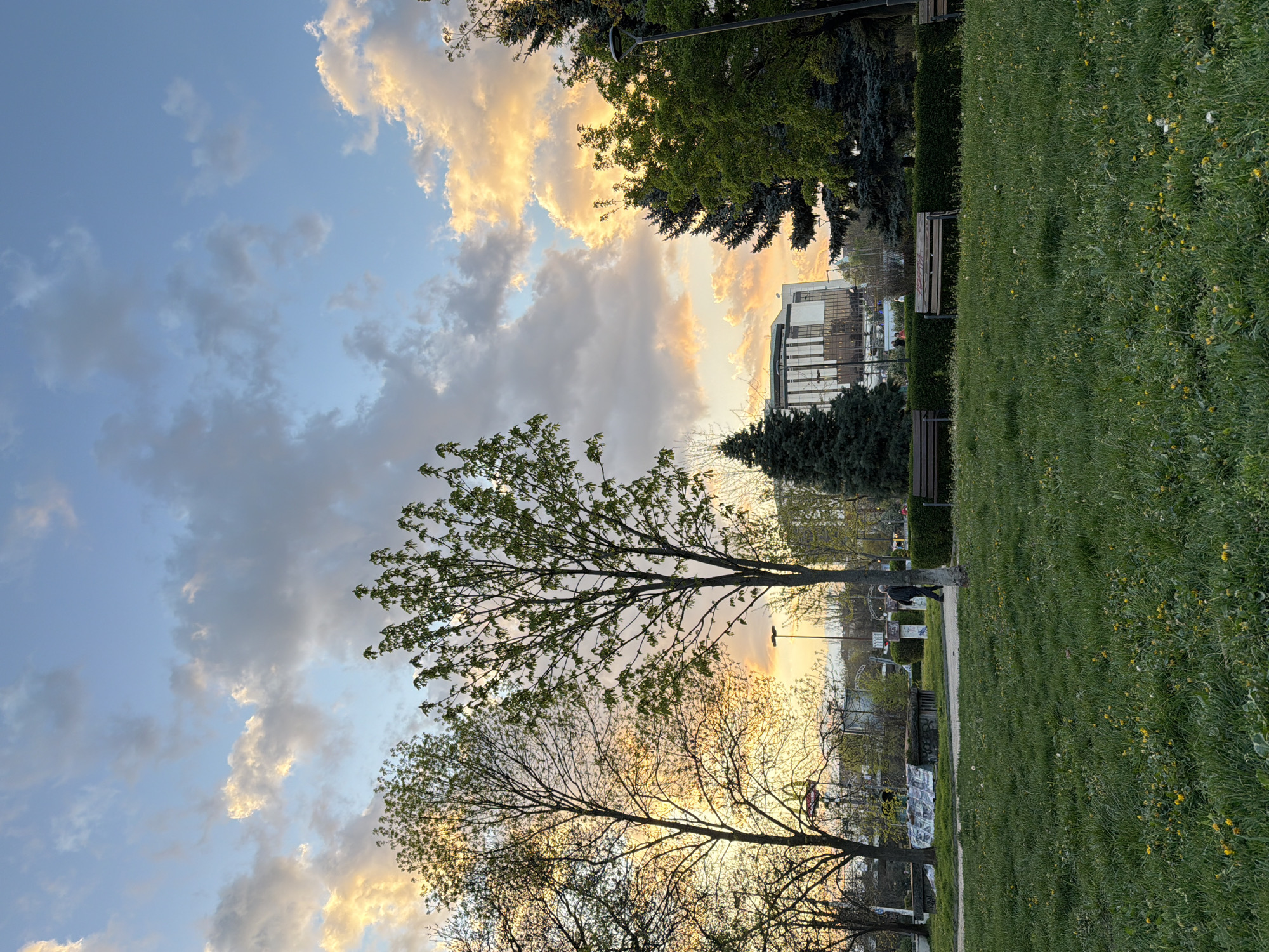 A vertically oriented photograph captures a scene in a park. The sky, filled with clouds tinged with warm sunset light, occupies the left portion of the frame. A building with a modern design stands among the trees. A sidewalk divides the verdant grass on the right. Benches are visible, and a person is walking along the sidewalk. The location is most likely in a park within the city of Sofia, Bulgaria.