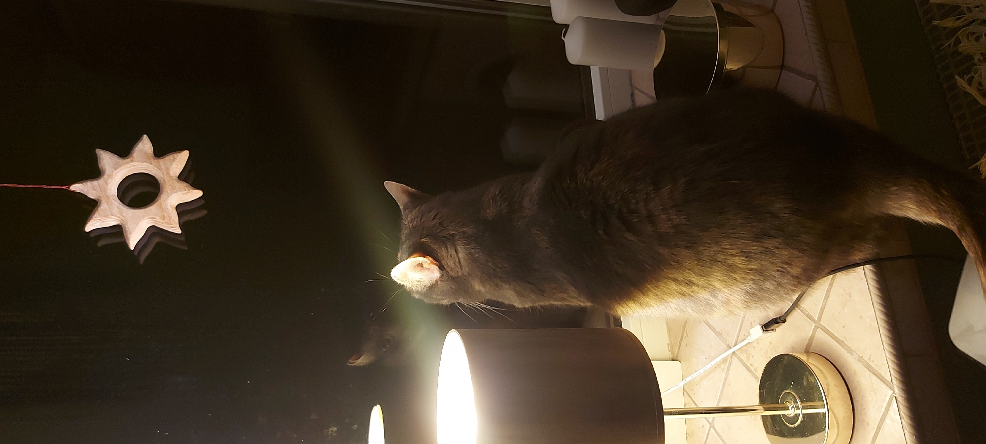 In Riga, Latvia, a dark gray cat sits on a windowsill, facing a window. The cat's back is to the viewer, and it appears to be looking at a wooden star ornament hanging from a red string above the window. A lamp with a golden base is to the left of the cat, casting a warm light. In the reflection of the window, the cat's face and a pair of eyes are visible. On the windowsill, there are two white pillar candles and a metallic golden bowl. The background is dark and indistinct.