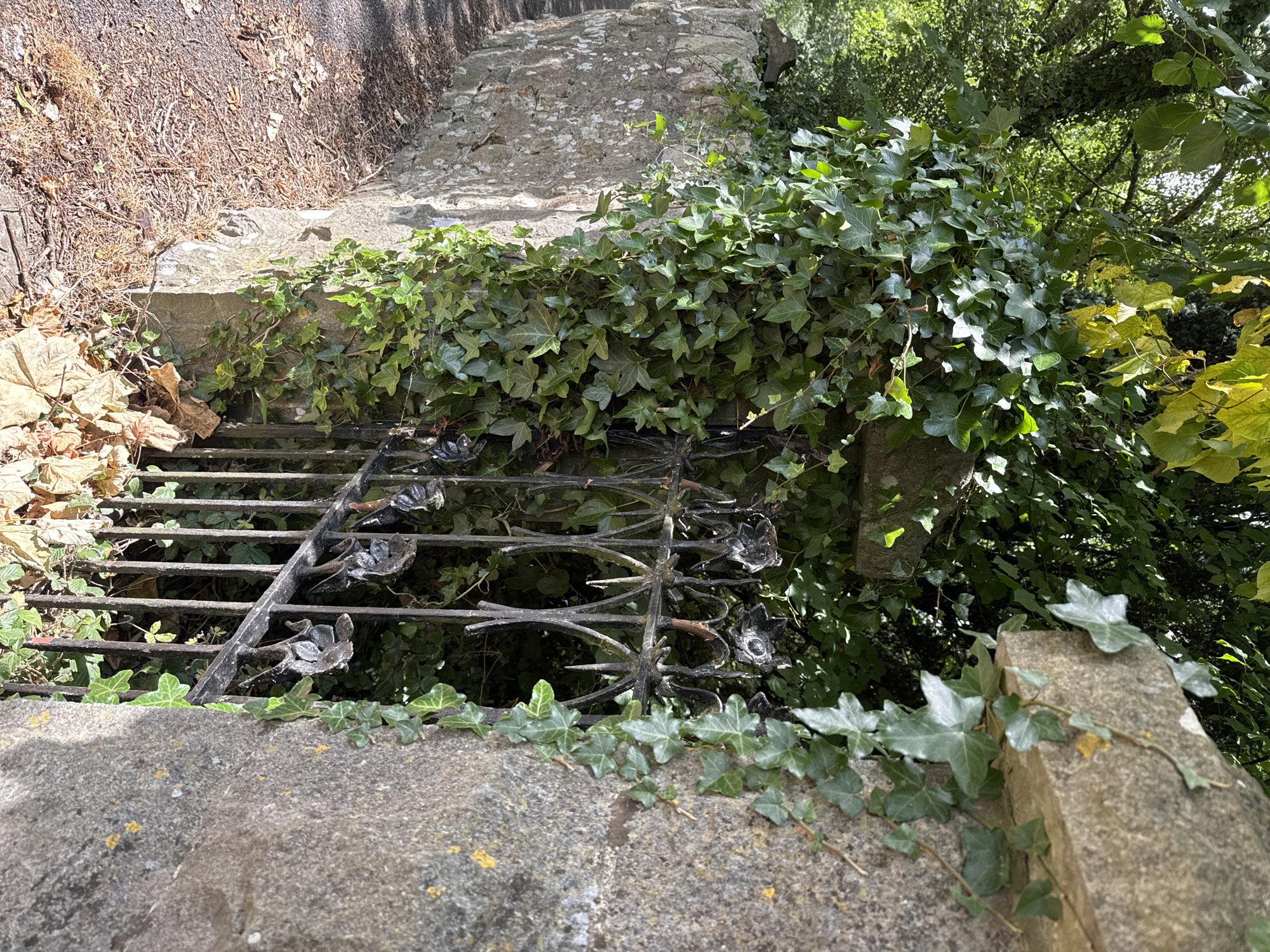 The image shows a weathered stone wall, partially overgrown with ivy, bordering a paved path. A wrought iron gate, with decorative floral elements, is set into the wall, also draped with ivy. Fallen leaves are scattered on the ground near the gate. The scene is outdoors, with foliage and trees visible in the background. The location is identified as being in Clonmel, Ireland. There are no people or animals present in the image. The time of day appears to be daytime, with sunlight casting shadows.