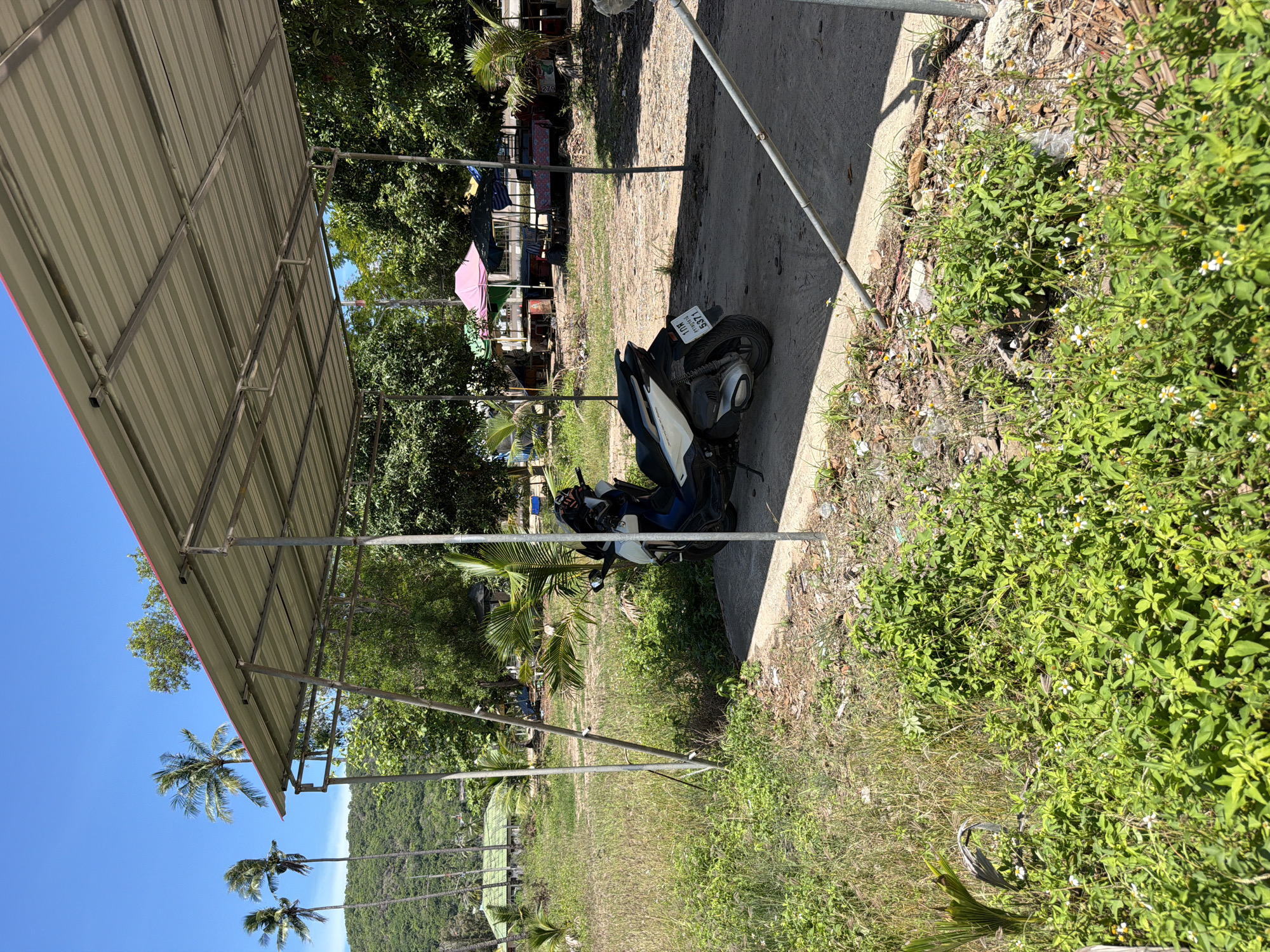 The image shows a white and blue scooter parked under a metal-framed canopy with a corrugated metal roof. The scooter is positioned on a concrete pad, with its rear facing the viewer. The license plate of the scooter is visible and shows Thai characters and the number "5371". Surrounding the canopy is an area of dry grass and some green vegetation with small white flowers. In the background, there are several palm trees, a lush green hillside, and some buildings with green roofs. A few colorful umbrellas and market stalls are visible further in the background. The sky is clear and blue, indicating a sunny day. The scene appears to be in a tropical or subtropical location, possibly a rural or semi-rural area near a beach, consistent with the location of Baan Bo Phut, Thailand, known for its coastal scenery. There are no people visible in the image.