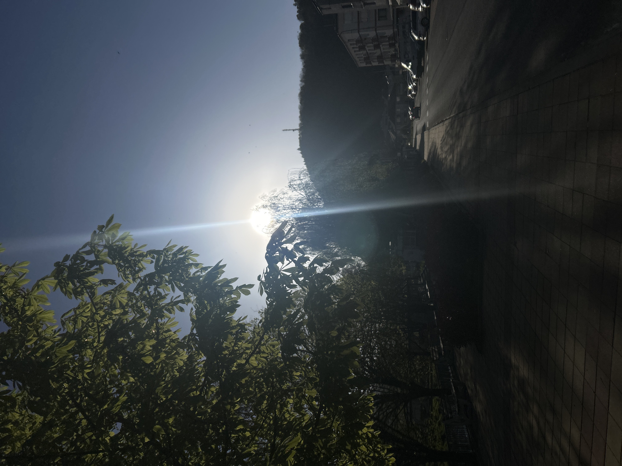 The image shows a street scene in Zlatograd, Bulgaria, taken during a sunny day. The view is looking up at an angle, capturing the clear blue sky with the sun shining brightly, causing lens flare. A tree with dense green foliage occupies the lower left portion of the frame. The street runs along the right side of the image, lined with parked cars. A building is visible behind the trees on the right, suggesting an urban environment.