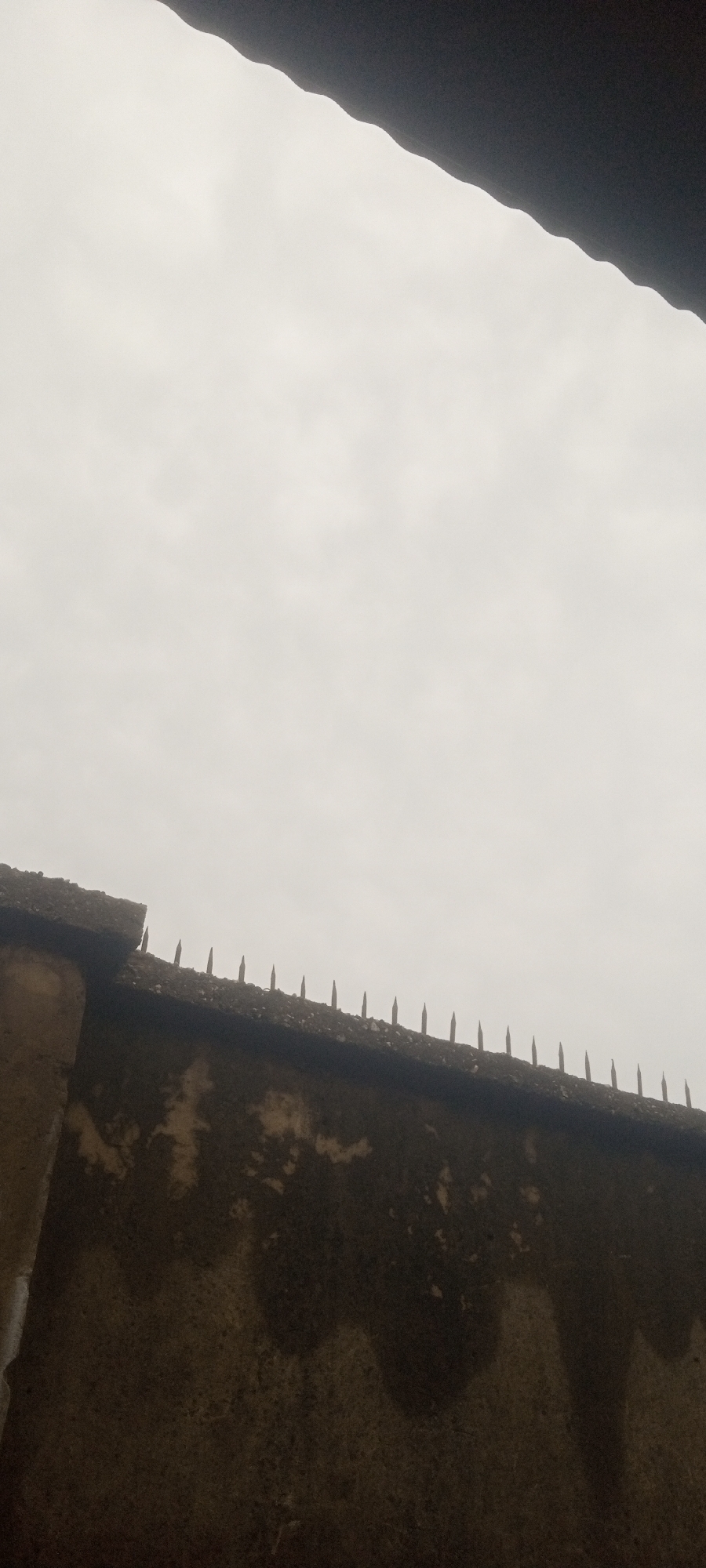 The image shows a section of a weathered wall topped with spikes, set against an overcast sky. The wall appears to be constructed from concrete or a similar material, showing signs of age and possible moisture damage. A dark, indistinct object is visible at the top of the frame. The spikes are evenly spaced along the wall's upper edge. The location is likely in Sabon Tasha, Nigeria. There are no people visible in the image.
