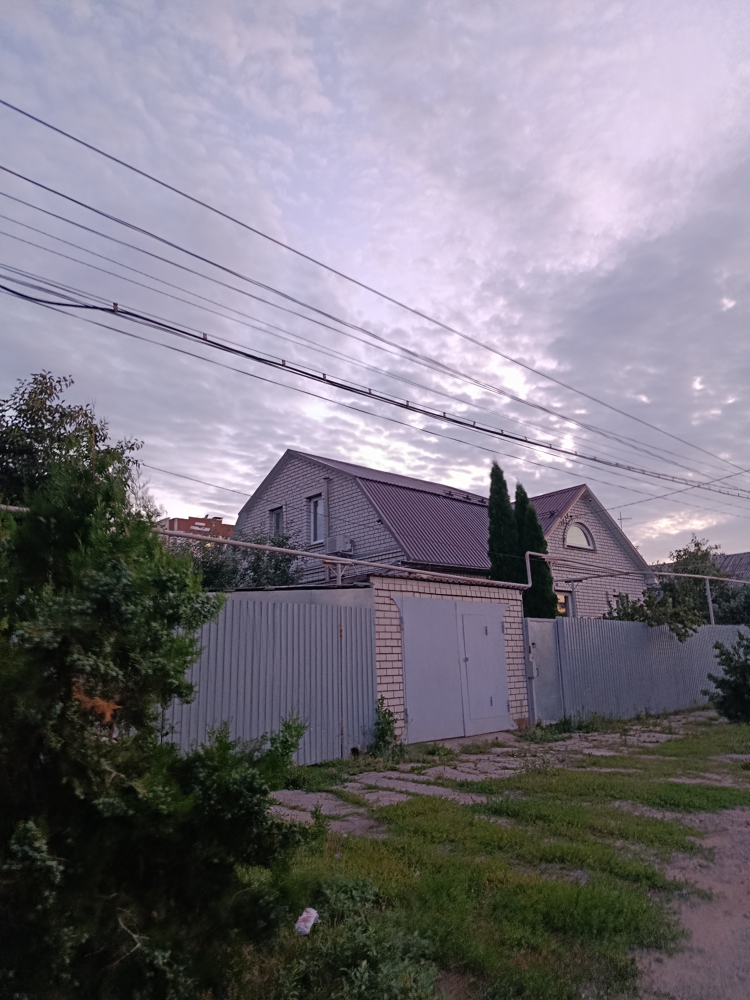 The image depicts a residential area with a house and a fence under a cloudy sky. The house is constructed of light-colored brick and has a dark-colored, sloped roof. Two tall, slender evergreen trees stand in front of the house, flanking a section of the roof that features a semicircular window. A grey corrugated metal fence runs along the property, with a section of brick wall and a large, light grey garage door. In the foreground, a dense green conifer tree partially obscures the view of the fence and house. The ground in front of the fence is a mix of patchy grass and paving stones. Overhead, multiple utility wires stretch across the frame. The scene suggests a suburban or semi-urban environment. No people are visible in the image. The time of day appears to be either early morning or late evening, given the soft, diffused light and the overcast sky. The image appears to be taken in Saratov, Russia, based on the context provided.