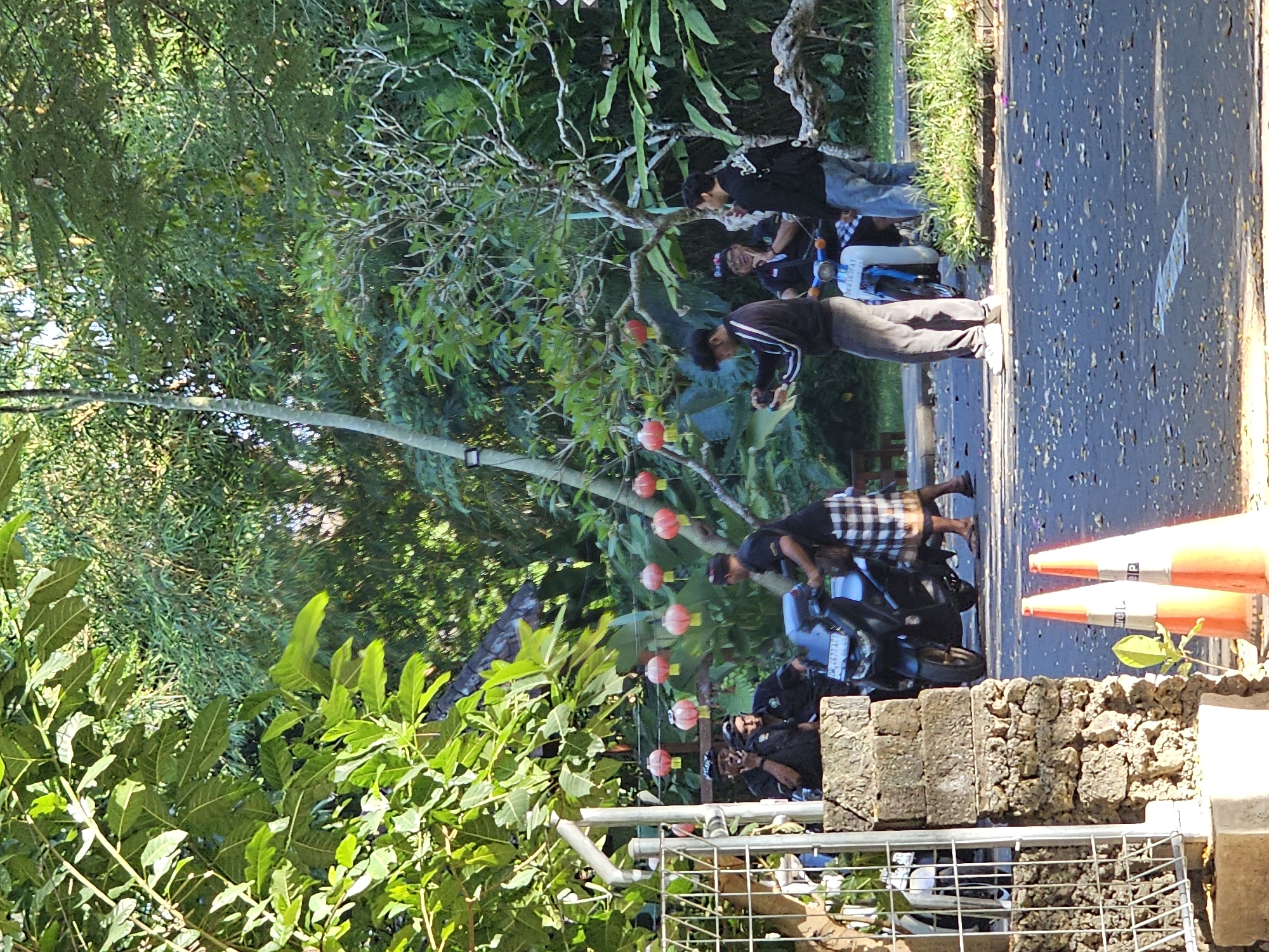 The image depicts a street scene in Denpasar, Indonesia, with lush green foliage dominating the background and midground. In the foreground, a light-colored road is speckled with fallen leaves and debris. Two orange traffic cones are positioned on the right side of the road.
On the left side of the frame, a rough-textured stone wall and a metal gate with vertical bars are visible. Behind the wall, a few individuals are gathered around a dark-colored motorcycle. One person is leaning against the motorcycle, smoking, while another is seated behind them. Two other individuals are standing near the motorcycle, one of whom appears to be looking at a phone.
In the midground, a line of red and yellow paper lanterns hangs from strings strung between trees. A person wearing a black and white checkered sarong and a black shirt is interacting with the motorcycle. Further back, several more people are seen near a motorcycle and scooter. One person is sitting on a scooter, wearing glasses and a colorful headband.
The overall impression is of a casual gathering outdoors, possibly near an entrance or a decorative area, given the lanterns and the natural surroundings. The lighting suggests it is daytime, with sunlight filtering through the leaves.