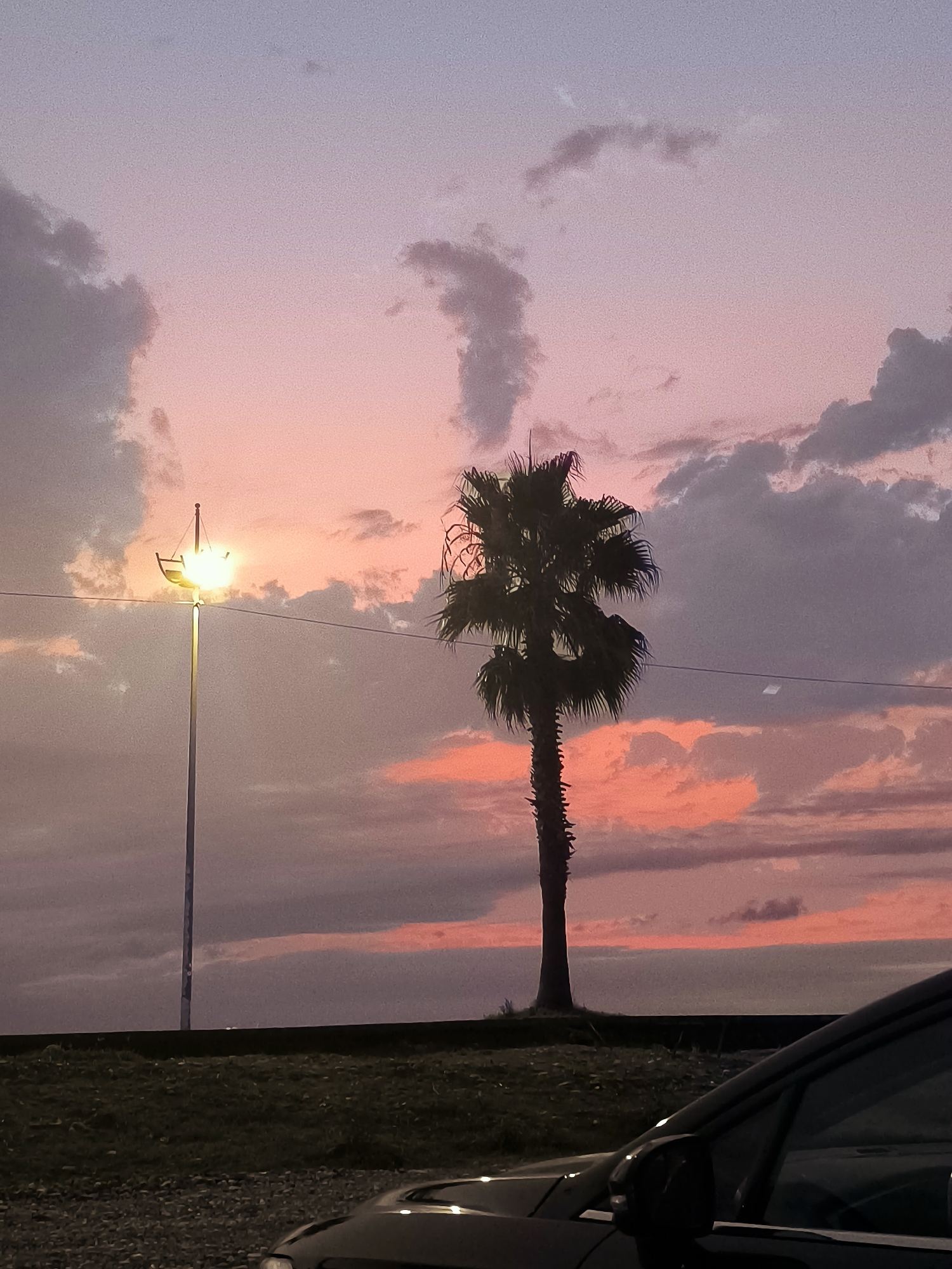 The image depicts a serene sunset scene at a coastal location, possibly near the city of Batumi, Georgia. A lone palm tree stands silhouetted against a sky ablaze with hues of pink, purple, and orange. Wispy clouds drift across the colorful expanse. In the foreground, a street lamp with a unique, boat-like fixture casts a warm glow, suggesting it is near a public area or walkway. The bottom portion of the frame shows the dark silhouette of a car, hinting at a road or parking area adjacent to the grassy embankment. The overall atmosphere is peaceful and evocative of twilight on the Black Sea coast.