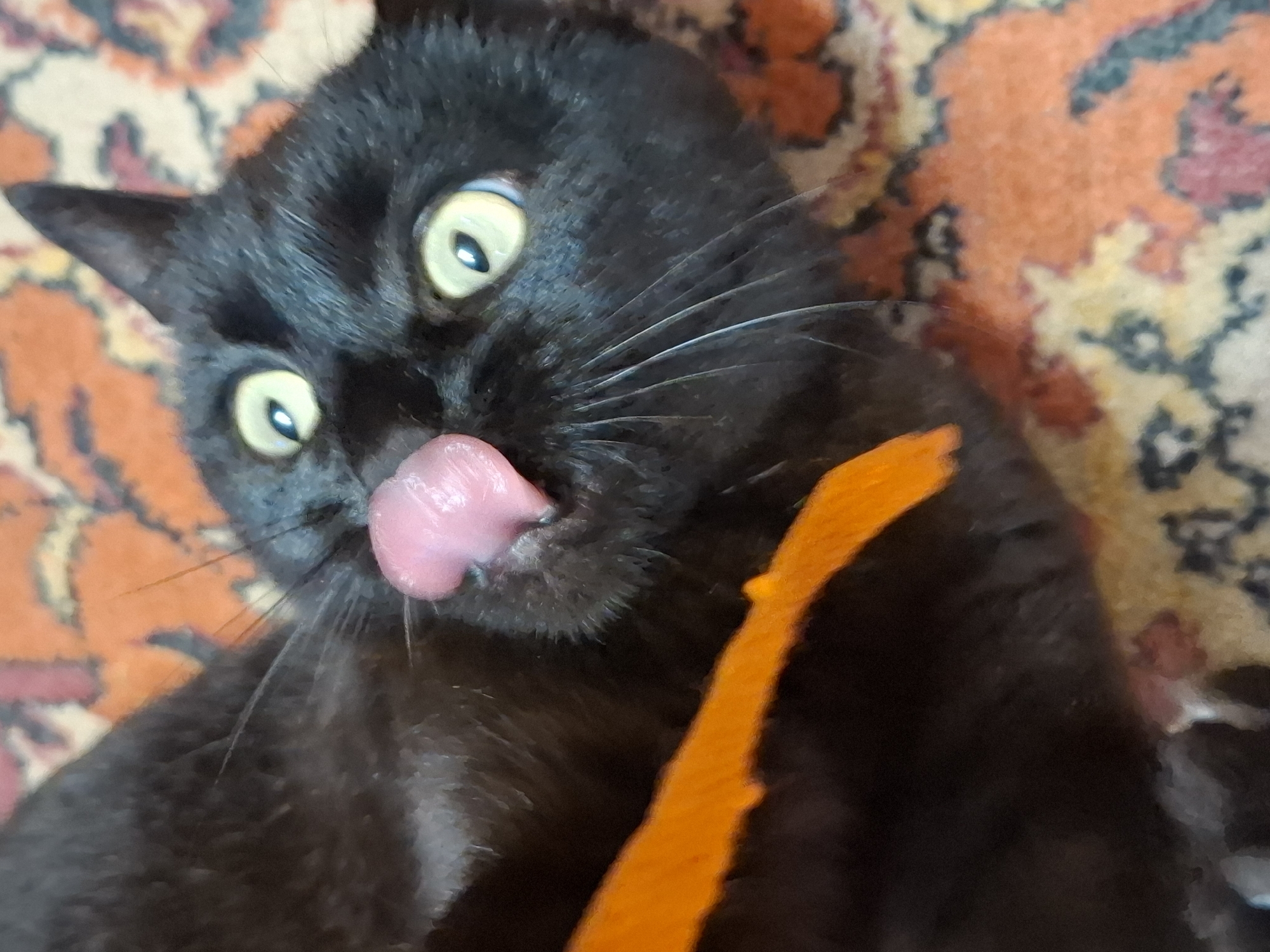 A black cat with yellow eyes is sticking its tongue out. The cat is lying on a patterned rug. An orange object is partially visible in the lower right of the frame. The photo was taken in Khlevnoye, Russia.