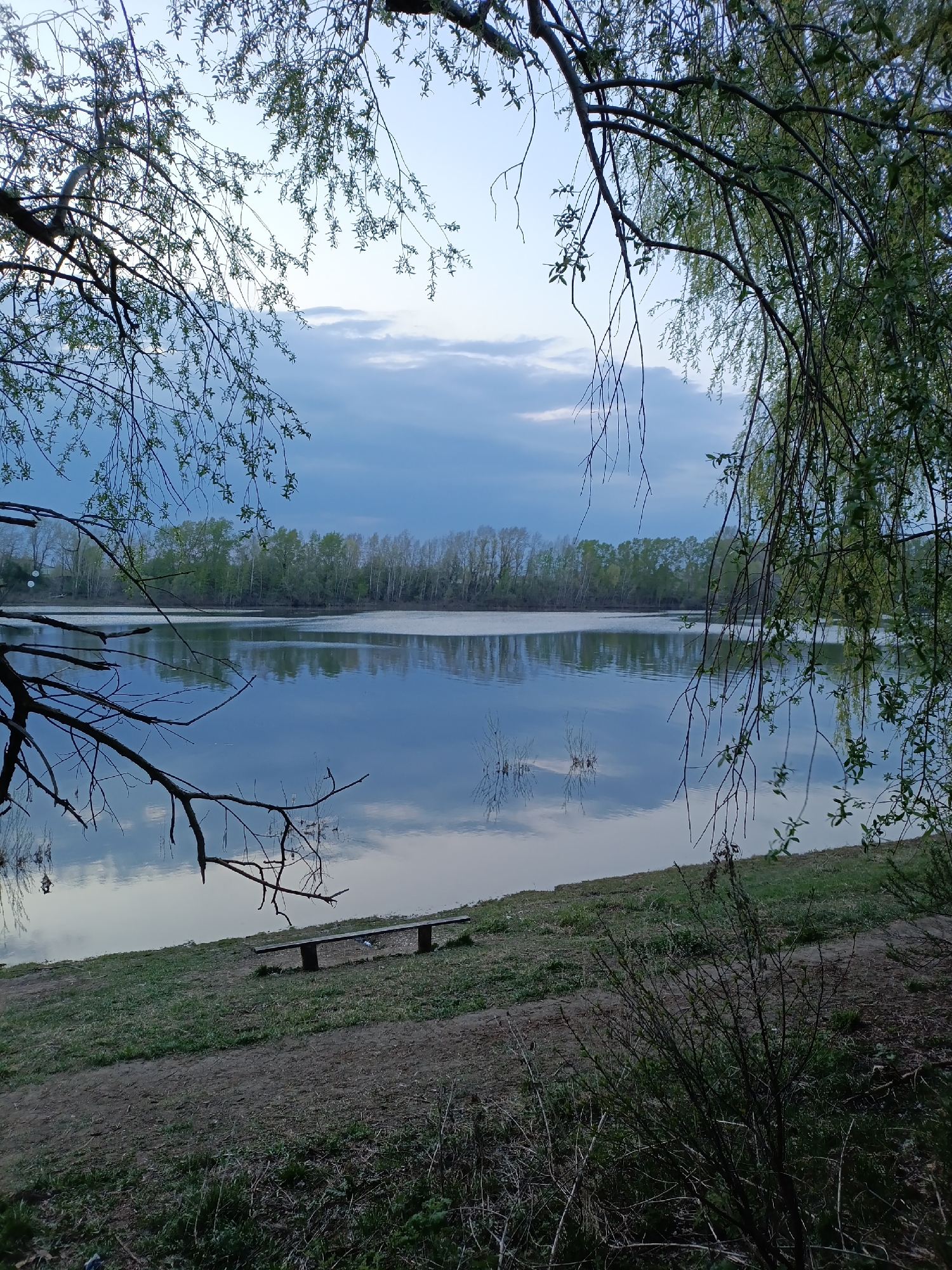 The image depicts a serene landscape near a body of water, likely a river or lake, framed by tree branches overhead. The water reflects the sky and some vegetation, creating a mirrored effect. On the near bank, there is a grassy area with a bench. The scene is captured at dusk or dawn, indicated by the soft lighting and the color of the sky. The presence of deciduous trees suggests a temperate climate, consistent with the location in Chaikovsky, Russia, which is known for its natural landscapes.