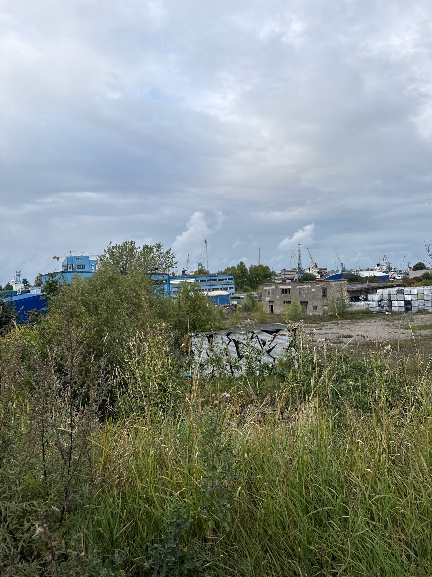 The image depicts an outdoor industrial area with a cloudy sky overhead. In the foreground, tall, dry grass and weeds dominate the scene. Behind the vegetation, a dilapidated, two-story concrete building stands with broken windows and graffiti on its exterior. Adjacent to this building, a collection of white pallets stacked high is visible.
Further in the background, a range of industrial structures are present, including large blue buildings with cranes, and other assorted industrial equipment. The overall impression is one of a functional but somewhat neglected port or industrial zone. The scene appears to be located in Tallinn, Estonia, likely within a port or industrial district such as the Paljassaare peninsula or near the Old City Harbour, given the industrial and maritime elements. There are no people visible in the image.