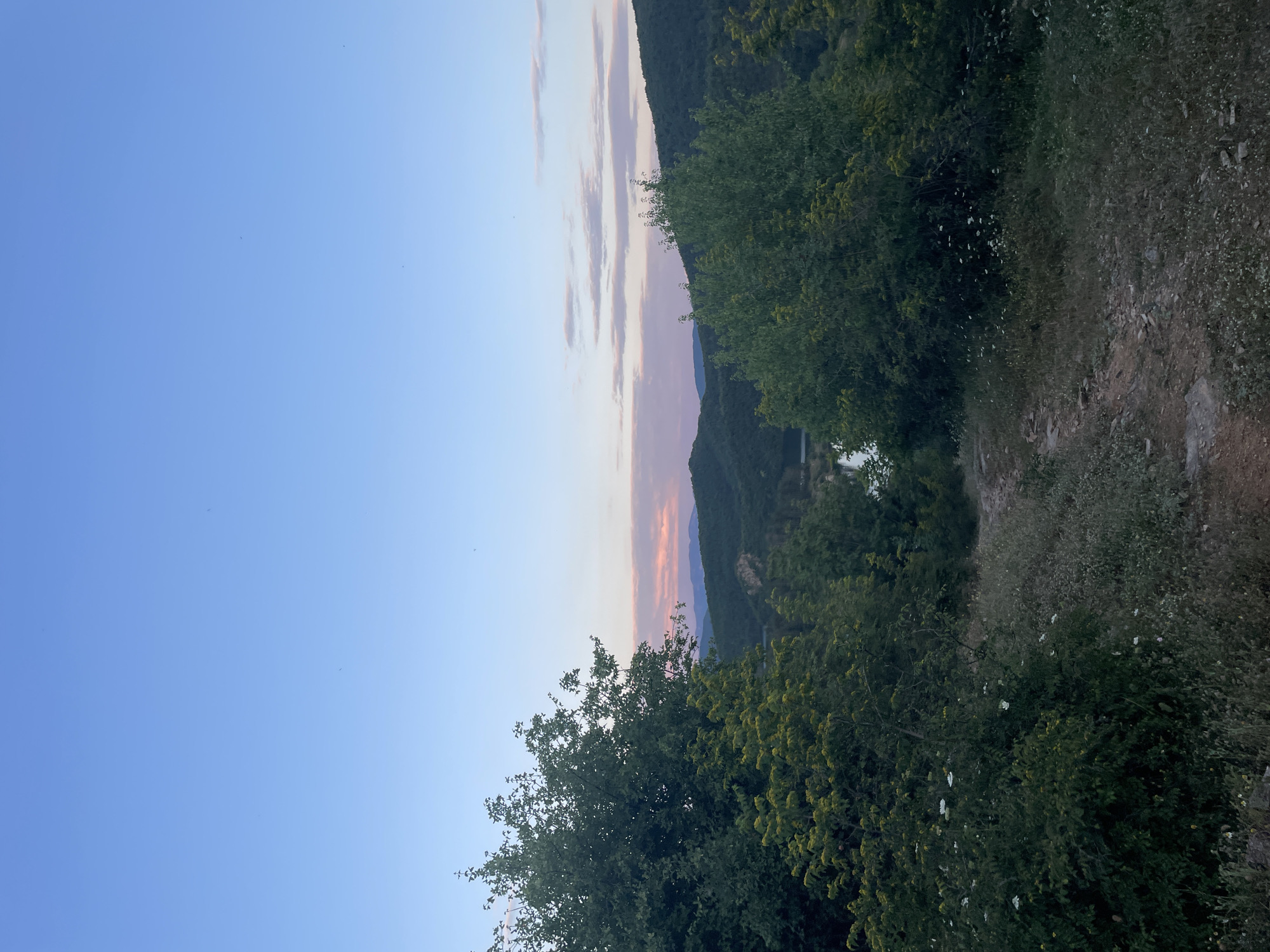 The image shows a natural landscape, likely a hillside overlooking a valley, in Suhovo, Bulgaria. The foreground features a dirt path winding through overgrown grass and scattered white wildflowers, flanked by dense green trees and bushes. In the middle ground, more trees are visible, leading to a body of water, possibly a lake or reservoir, nestled among rolling hills covered in dark green foliage. The background is dominated by layers of mountains under a twilight sky. The sky transitions from a pale blue at the top to hues of pink and orange near the horizon, indicating either sunrise or sunset. Wispy clouds are scattered across the sky. No people or man-made structures are prominently visible, suggesting a rural or natural setting. The overall impression is one of serene, undeveloped nature at dusk.