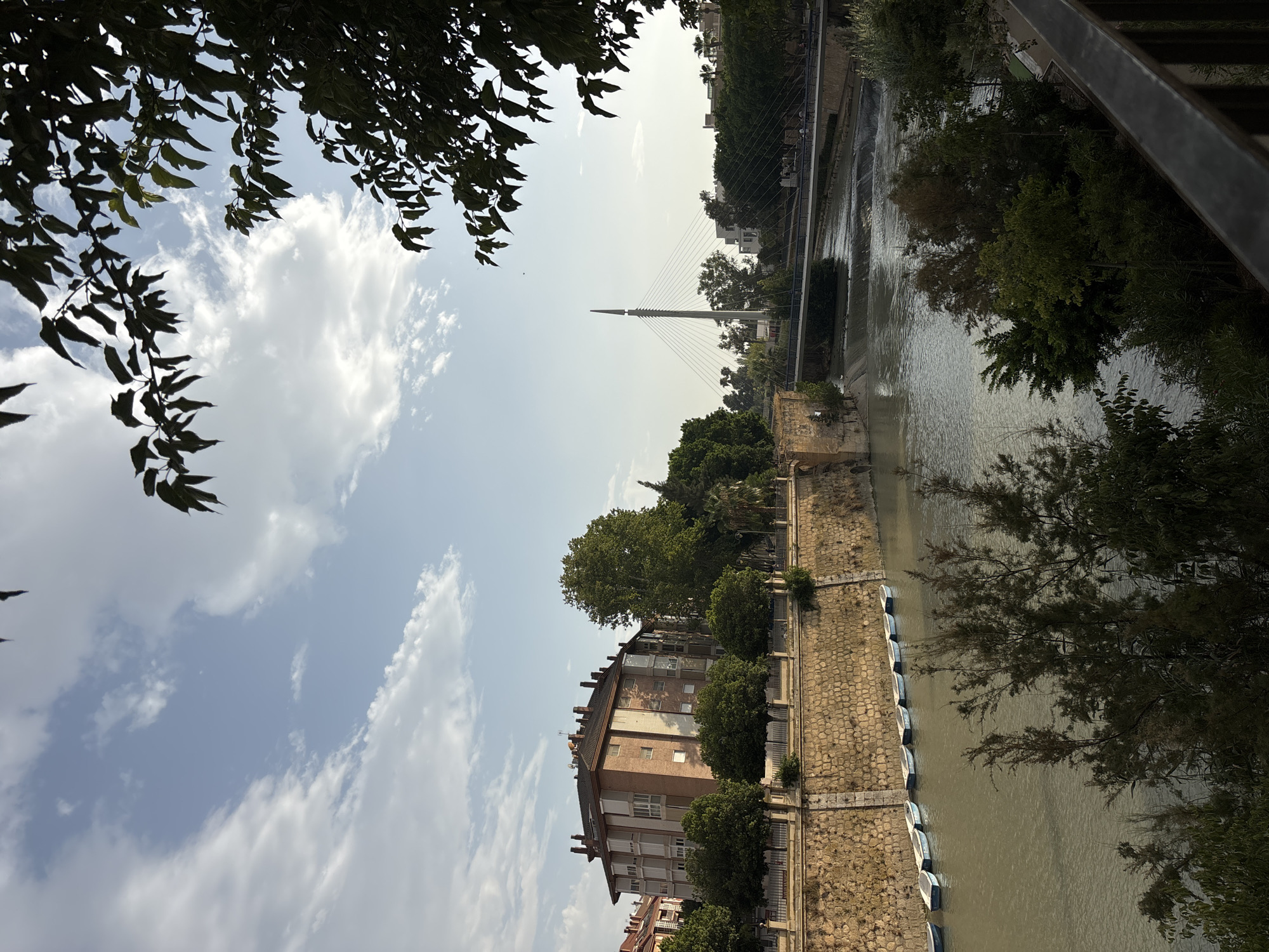 A wide shot captures the Segura River in Murcia, Spain, during the day. On the left bank, a multi-story brick building with numerous windows and balconies stands prominently, bordered by a stone wall. Several small, white boats are lined up along the riverbank in front of the wall. Across the river, a modern cable-stayed bridge with a single tall pylon is visible in the distance, with a lower, older bridge in the foreground. Lush green trees line both banks of the river, with some branches of a dark green tree in silhouette framing the top right corner of the image. The sky is partly cloudy with a light blue hue. The water in the river is a murky, light brown color. The scene is peaceful and evokes a sense of urban tranquility with natural elements.