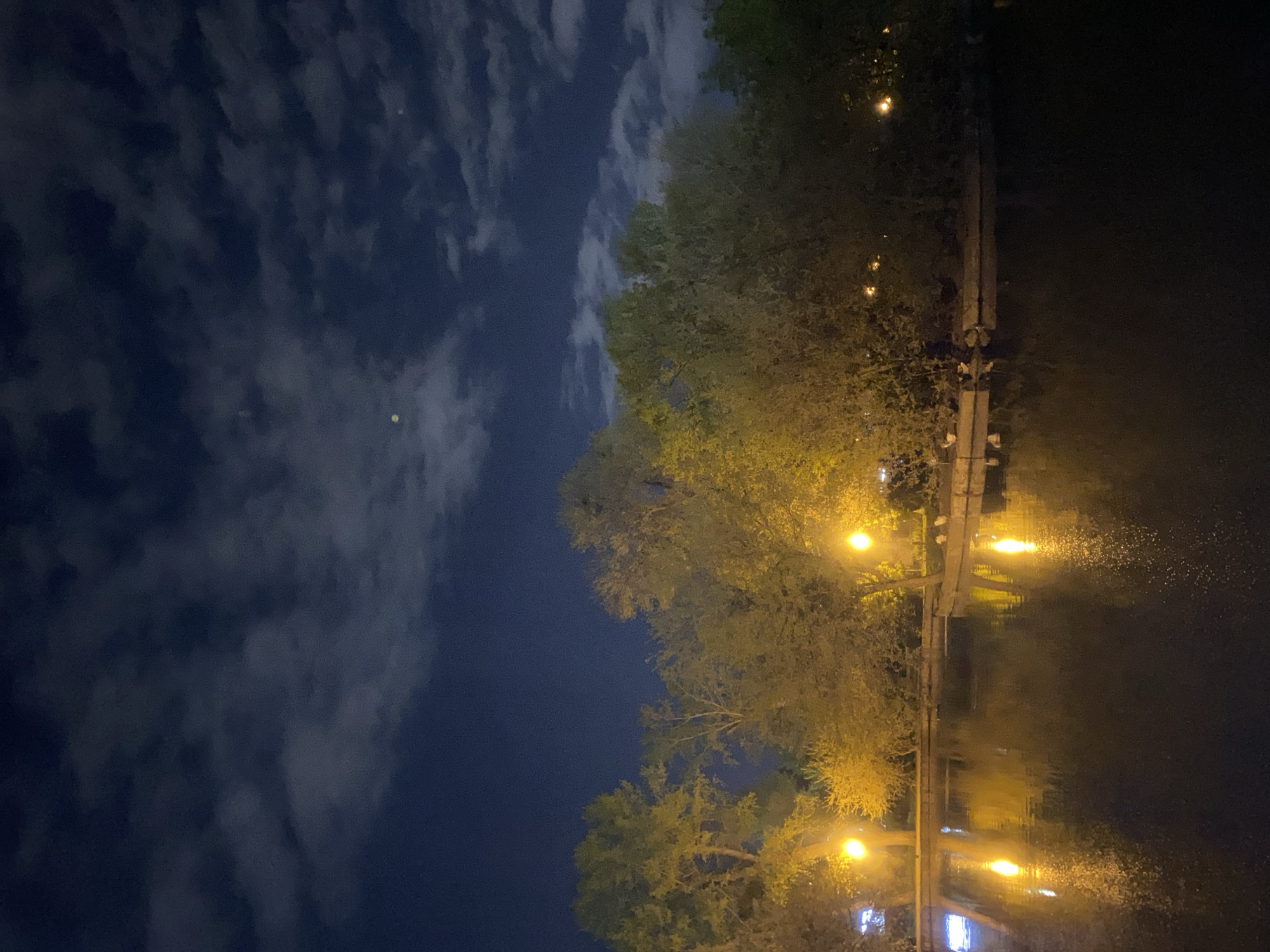 The image captures a serene nighttime scene of a waterfront area, viewed as if rotated 90 degrees clockwise from its original orientation. On the left side of the frame (which would be the upper half if rotated correctly), a dark, deep blue sky is visible, adorned with numerous soft, white and grey clouds. A tiny, faint light source, possibly the moon or a distant star, is discernable in the upper left.
A dense line of deciduous trees runs horizontally across the middle of the image, their foliage illuminated with a vibrant yellow-green glow from artificial lights. These trees separate the cloudy night sky from a tranquil body of water on the right side of the frame (the lower half if rotated).
The dark water, likely a river or canal, perfectly mirrors the warm, yellow light of several streetlights positioned along its edge, creating elongated, shimmering reflections. A wooden or concrete path or boardwalk runs parallel to the treeline and the water, featuring several prominent streetlights. These lights cast their bright, circular glows onto the surrounding foliage and the water's surface. Small, white objects, resembling birds (possibly ducks or geese), are visible resting on the path near the water's edge.
The scene conveys a peaceful and calm nocturnal ambiance, suggesting a park or urban waterfront setting. The time of day is clearly night, evidenced by the dark sky and illuminated artificial lights. The weather appears cloudy, but there is no indication of precipitation. No human activity or visible text is present.