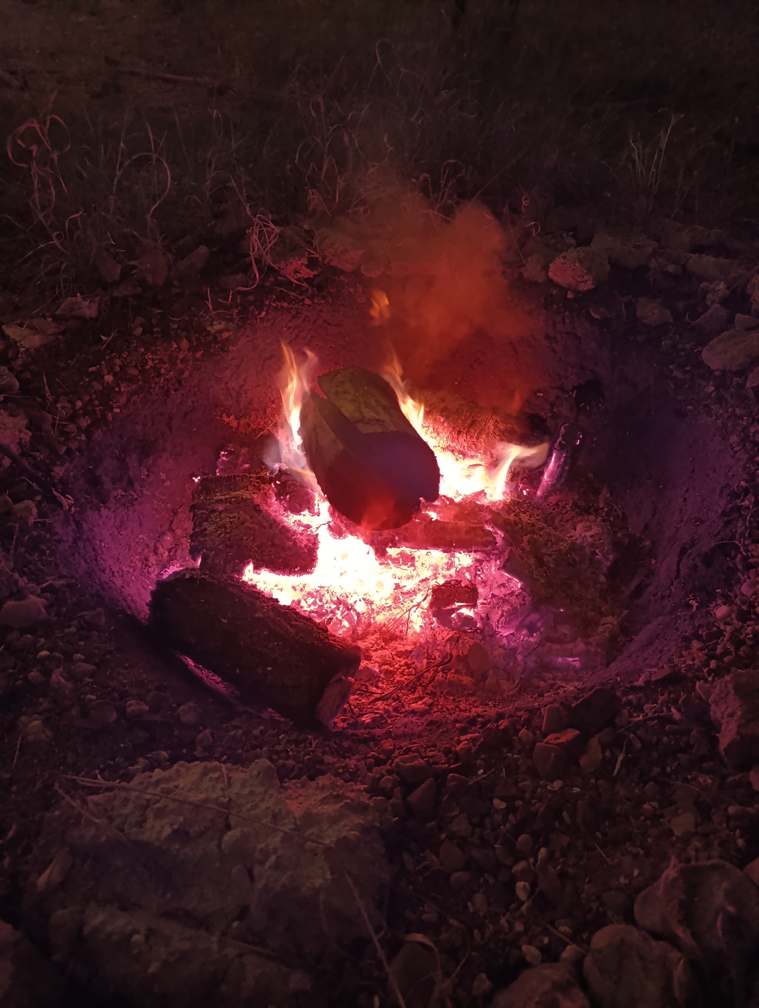 A campfire burns in a pit dug into the earth, surrounded by dry grass and scattered rocks. The flames are intense, casting a vibrant red and purple glow on the logs and surrounding dirt. Smoke rises from the fire, obscuring some of the background. The scene appears to be outdoors and in a natural setting, with no visible signs of urban infrastructure. The specific location in Dimitrovskii, Russia cannot be determined from the image alone.