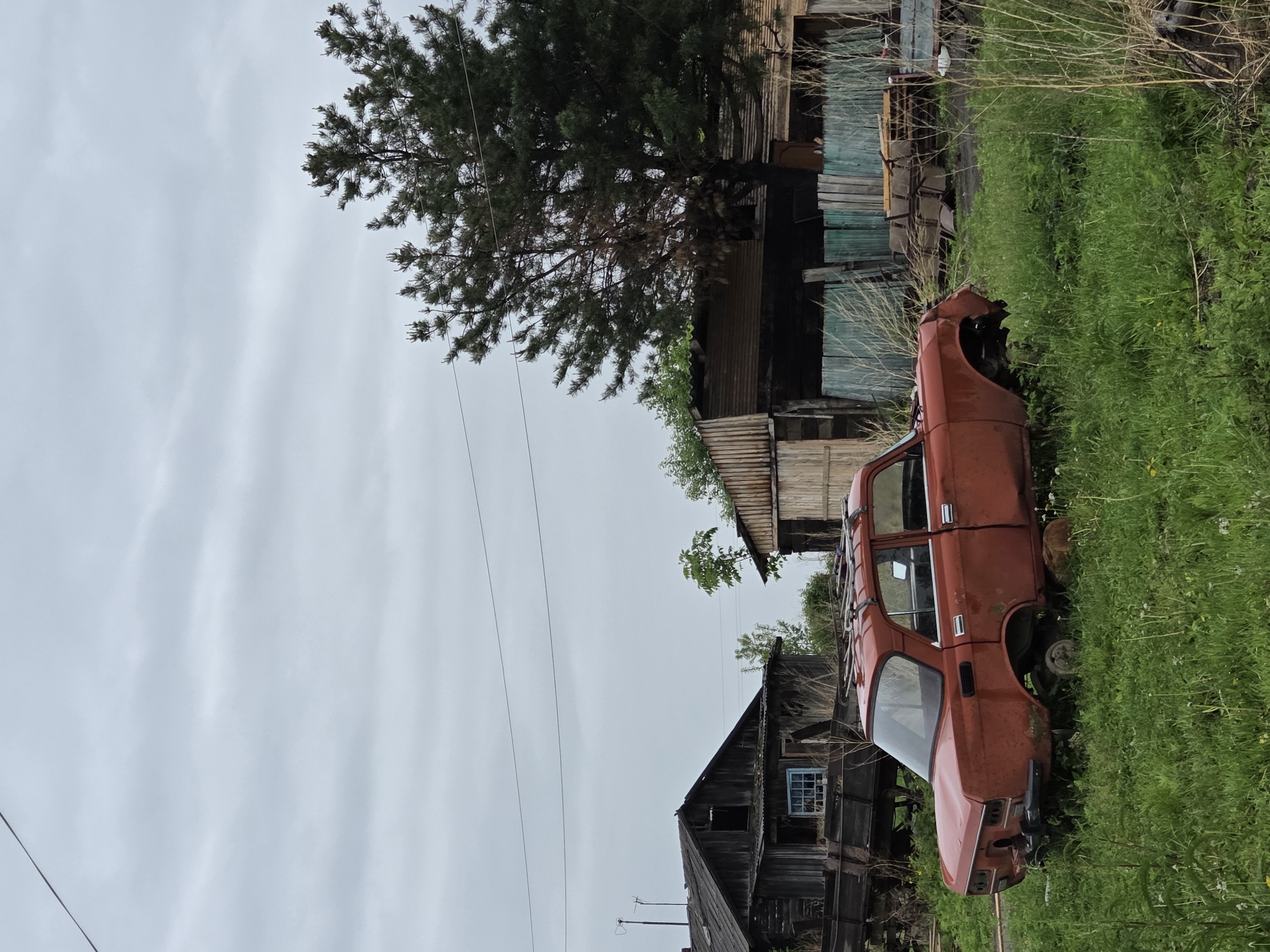 The image depicts a static, outdoor scene in Pronkino, Russia, characterized by neglect and disuse under an overcast sky. In the midground, an extensively rusted and dilapidated reddish-orange sedan, possibly a Moskvitch, is centrally positioned. The vehicle is missing its front bumper, and the front left and rear left wheels are absent, causing the car's body to rest directly on the overgrown ground. A utilitarian roof rack is visible on its top. The car is surrounded by tall, unkempt green grass, interspersed with patches of drier, lighter-colored vegetation and some small yellow wildflowers.
To the left of the car, in the background, stands a dark, weathered wooden house or outbuilding with a gabled roof. It appears to be abandoned, featuring a single, intact blue-framed window on its visible side. Below this window, a dark wooden structure, possibly the frame of a trailer or cart, is partially visible. Above this area, two dark utility wires traverse the upper left quadrant of the image.
To the right of the car, a large coniferous tree, likely a pine, with dark green foliage and some dry branches, dominates the background. Behind the tree and extending further right is another weathered wooden structure, partially obscured, with some corrugated metal roofing. In front of this building, a partially broken wooden fence, painted a faded teal or greenish-blue, runs horizontally. No people or animals are present, and no actions are occurring within the frame. The sky is uniformly grey and overcast, indicating a dull or cloudy day.
