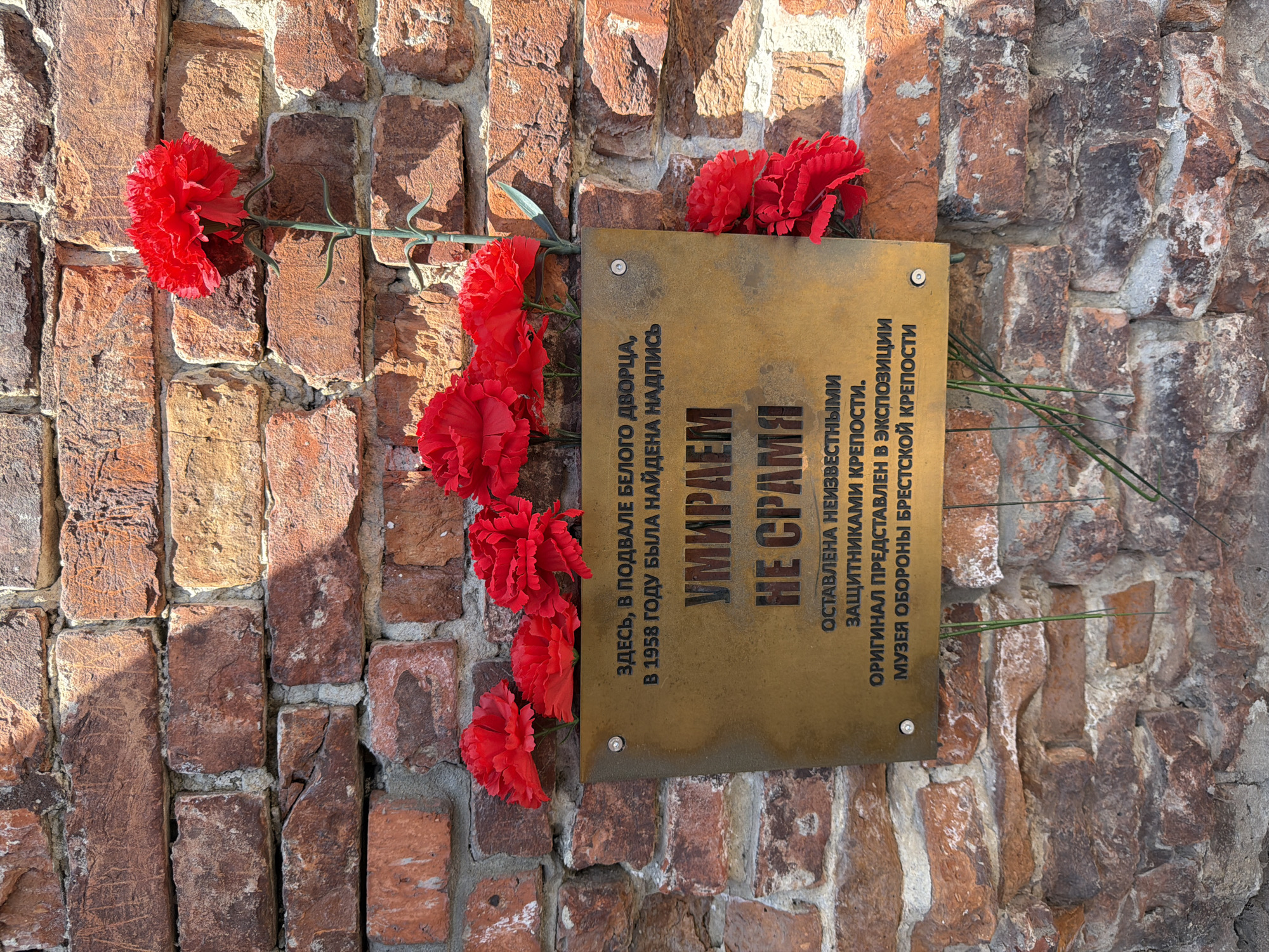 The image shows a memorial plaque attached to a weathered brick wall. A cluster of vibrant red carnations is laid across the top of the plaque and spills down its left side. The plaque itself is a golden-bronze color and is inscribed with Russian text. The inscription, which is in all capital letters, appears to be a historical commemoration. The top lines read, "HERE, IN THE BASEMENT OF THE WHITE PALACE, THE INSCRIPTION WAS FOUND IN 1958." Below this, larger text states, "WE DIE / WITHOUT SHAME." Further text indicates that the inscription was left by unknown defenders of the fortress, and the original is displayed in the exposition of the Brest Fortress Defense Museum. The lighting suggests it is daytime, with sunlight casting shadows on the rough-textured bricks, highlighting their age and the ruggedness of the setting. The carnations, a symbol often associated with remembrance and sacrifice, add a poignant touch to the scene, suggesting a memorial or tribute. The overall impression is one of solemn remembrance and respect for historical events.