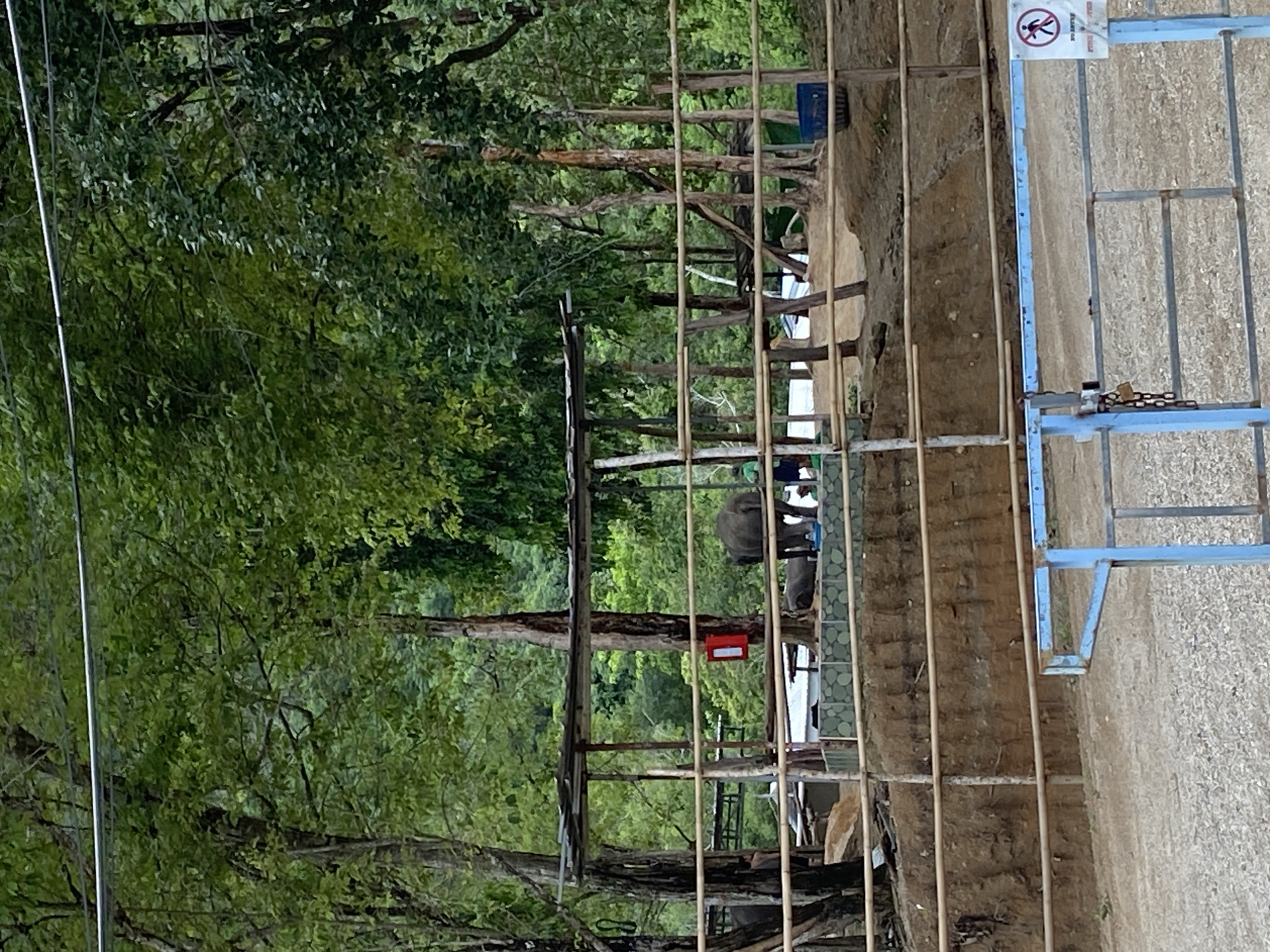 A horizontal medium shot shows a fenced wildlife viewing area in Choeng Thale, Thailand. The scene encompasses a tree-dense outdoor location, with an elephant visible in the background, and at least one individual standing near it. The fenced viewing area is constructed with both sturdy wooden posts and blue metal framework. A sign indicating the prohibition of pedestrian traffic is posted on a section of the fence. A red object is positioned on a tree in the space between the fence and the animals. The lighting conditions suggest daytime with bright natural illumination. The general atmosphere suggests a wildlife sanctuary or protected area.