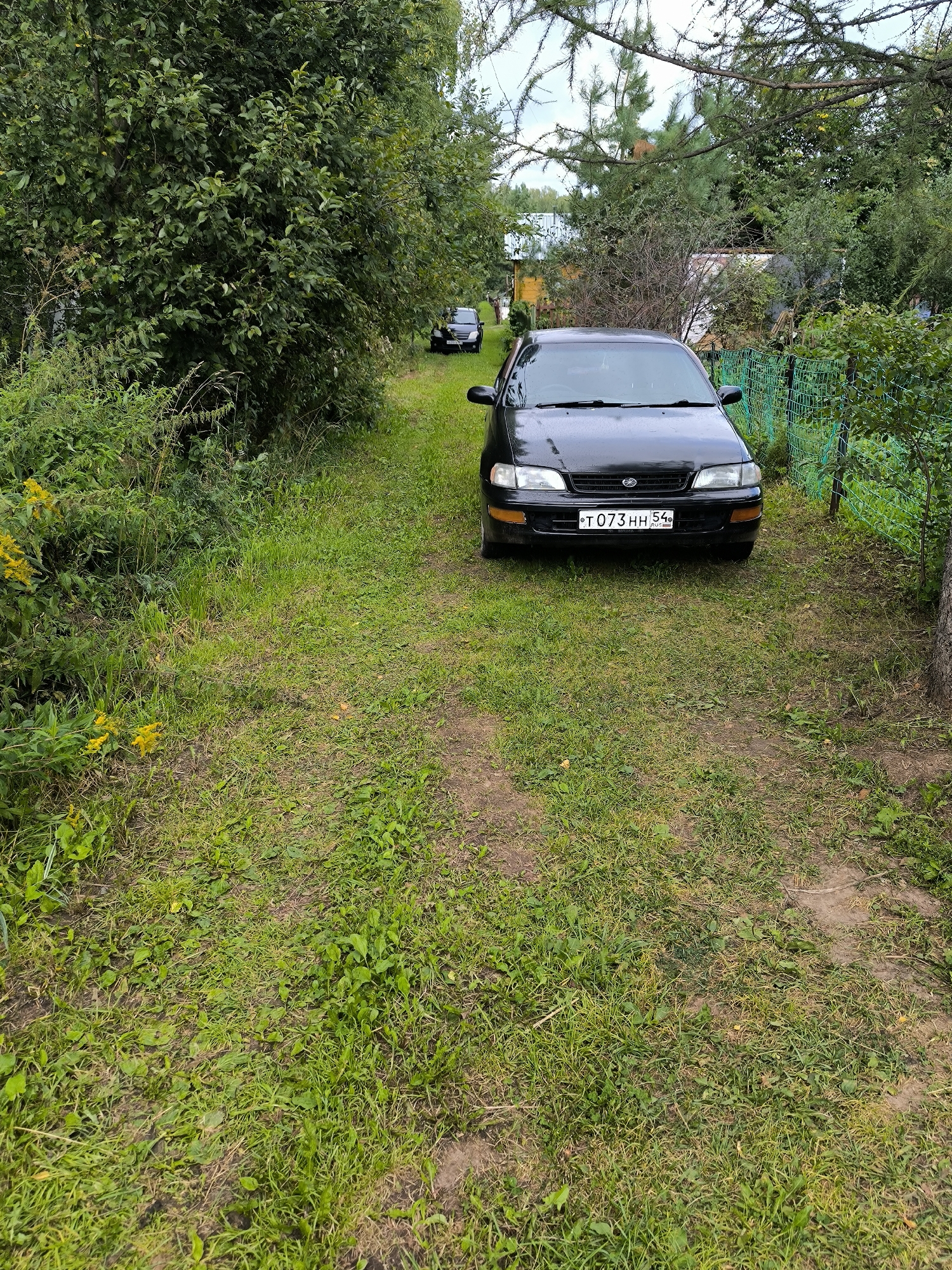In Maiskii, Russia, a black sedan is parked on a grassy, unpaved path surrounded by dense green foliage and trees. The car's license plate is visible, displaying "T073HH 54 RUS". In the background, another dark vehicle is parked further down the path, and hints of buildings with light-colored roofs are visible through the trees. A green mesh fence runs along the right side of the path, bordering the property. The ground is covered in grass and dirt, with some yellow wildflowers growing on the left side of the path. The sky above is partly cloudy.