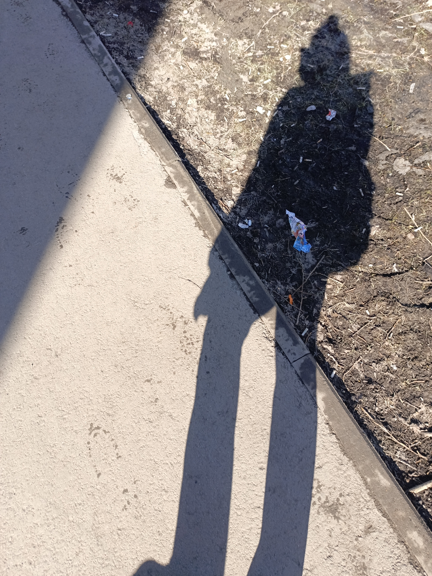 The image shows a shadow of a person on a sidewalk next to an area of soil, twigs, and litter. The sidewalk is gray concrete, and the soil area contains small pieces of litter including paper and plastic. The location is inferred to be in Perm, Russia, based on previous interactions.