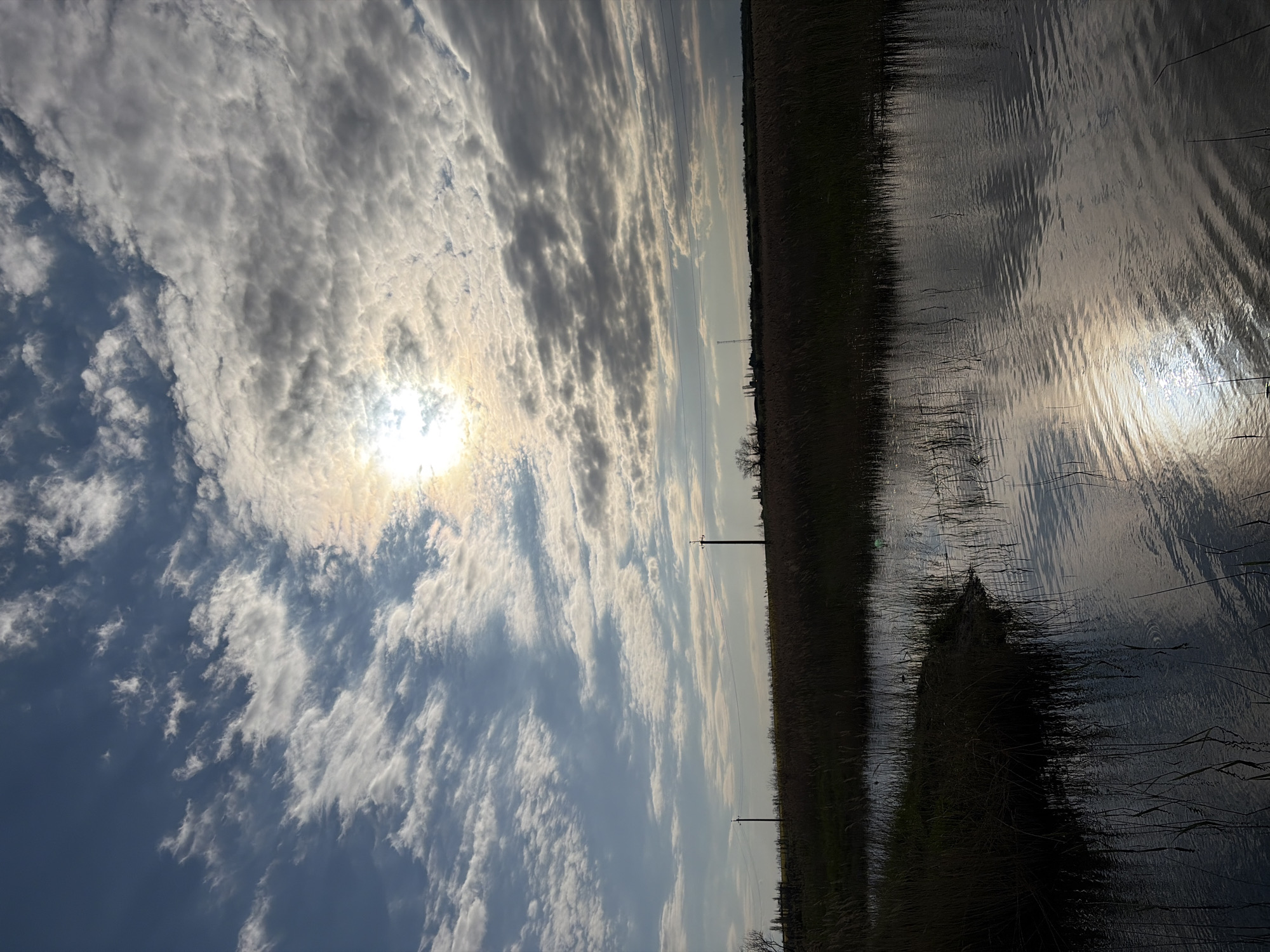 The image depicts a rural landscape. The sky dominates the upper portion, filled with a mix of white and grey clouds partially obscuring the sun. The lower portion shows what appears to be a field of tall grass or reeds, bordering a body of water. The water surface reflects the sky and sun, creating a shimmering effect. Two power poles are visible in the distance, standing in the field. There is a blurry tree in the distance. The location is specified as Novomargaritovo, Russia.