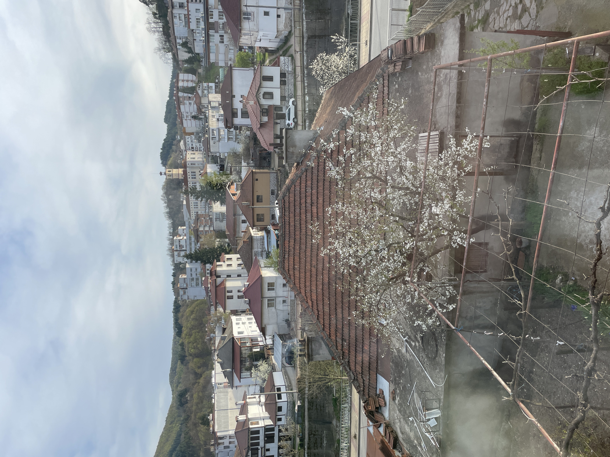 The image shows a view over Zlatograd, Bulgaria, from an elevated position. In the foreground is a red tiled roof with a tree in full bloom covered in white flowers. A trellis structure is visible to the right of the tree, possibly for growing vines. The middle ground contains buildings with white facades and red roofs, characteristic of the architecture in Zlatograd. A river or stream runs between some of the buildings, with a vehicle parked beside it. The background features a hillside covered in trees, and a cloudy sky above. The scene appears to be a residential area within the city. There are no people visible in the image.