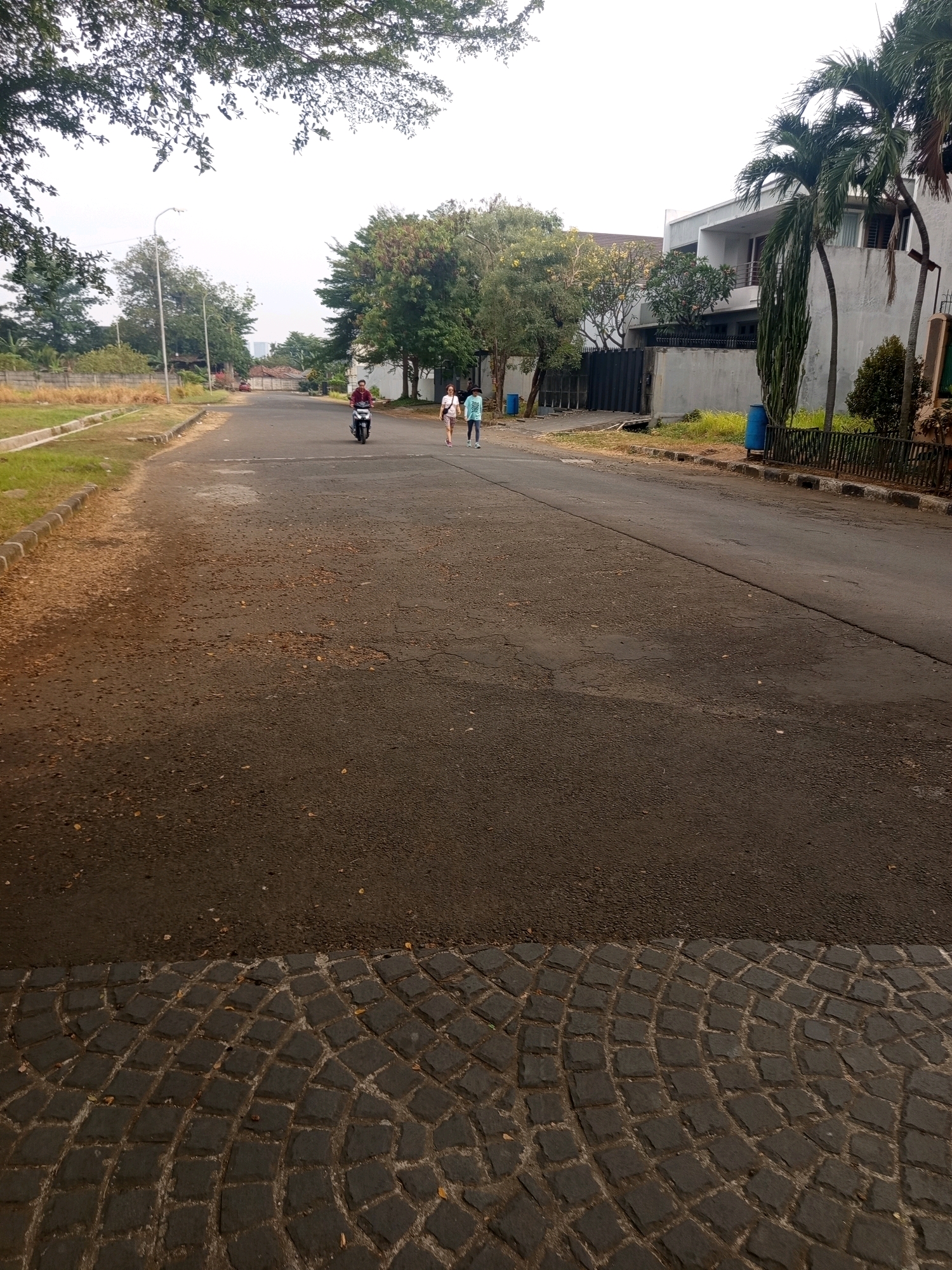 The image captures a street scene in West Jakarta, Indonesia, on a bright, overcast day. In the foreground, a paved area with cobblestone patterns leads to an asphalt road. The road is mostly empty, with some scattered leaves and debris.
Further down the road, a person rides a dark-colored motorcycle. Two individuals, one in a light-colored shirt and shorts and another in a blue t-shirt and shorts, are walking away from the motorcycle, towards the viewer.
The street is lined with various trees and vegetation. On the right side of the road, modern residential buildings with white walls and balconies are visible, partially obscured by palm trees. Blue cylindrical trash bins are placed along the sidewalk. On the left side of the road, a grassy area is bordered by a low wall and more trees. The sky is a pale, uniform white, indicating cloudy conditions. The overall impression is a quiet, suburban residential street.