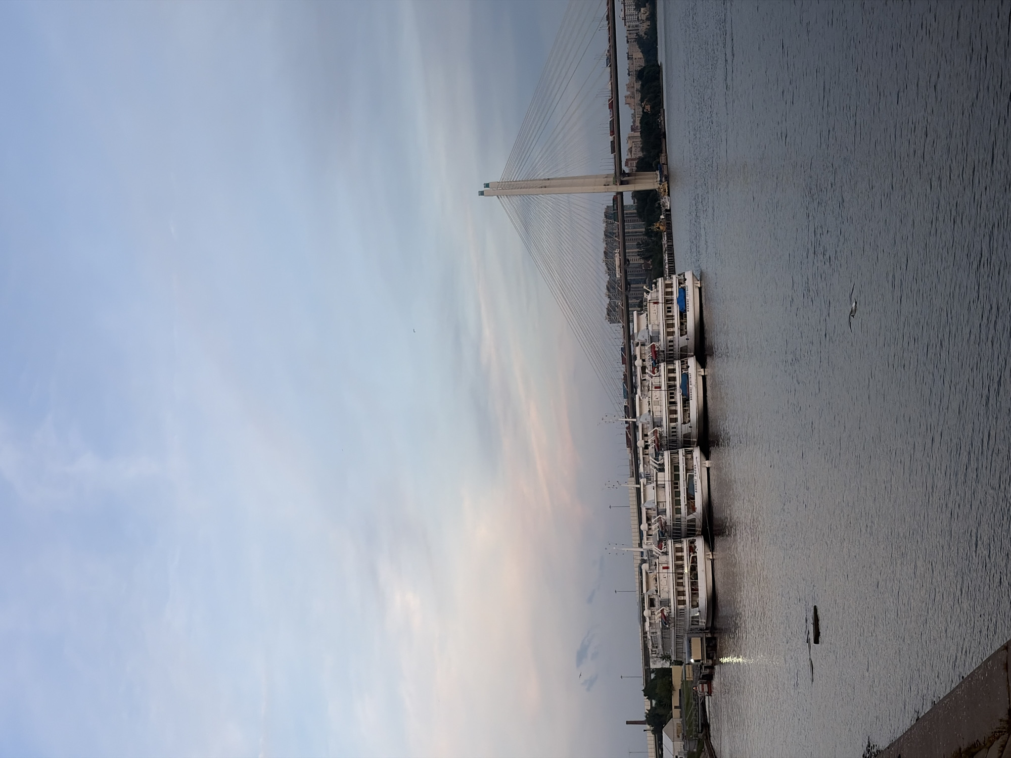 The image presents a wide river scene on the Neva River in Saint Petersburg, Russia, specifically capturing the Bolshoy Obukhovsky Bridge (Great Obukhovsky Bridge) in the mid-background. The view is from the left bank (south side of the river), looking generally westward.
The sky occupies the upper two-thirds of the frame, characterized by an expansive, overcast cloud cover displaying a soft gradient of light blue at the top transitioning to subtle pink and purple hues towards the horizon, indicative of either dusk or dawn. Several indistinct specks, possibly distant birds, are visible in the sky.
In the mid-ground on the left, a line of at least four multi-deck passenger river cruise ships are moored along a dock. These vessels are predominantly white with visible lifeboats and railings; the name "ВЛАДИМИР ТРУФАНОВ" (Vladimir Trufanov) is clearly legible on the hull of one ship. Behind the docked ships, an industrial or port area is visible, including a tall, slender brick chimney on the far left and several low-lying structures, one covered by a white tent-like roof.
The Neva River occupies the lower half of the image, appearing wide and calm with gentle ripples, its dark surface reflecting the muted sky. A dark, elongated object floats adrift in the water in the mid-left portion of the river. In the lower right, a single white seagull is captured in flight, positioned low above the water. The immediate foreground on the left features a concrete river embankment.
Dominating the mid-background is the Bolshoy Obukhovsky Bridge, a prominent cable-stayed structure with two towering, slender white pylons. Numerous cables radiate from these pylons, supporting the multi-lane bridge deck, on which several vehicles are visible in motion. Beyond the bridge on the far bank, a densely built-up urban landscape with various buildings and a line of trees is discernible, fading into the hazy distant light. Streetlights are visible on the bridge and along the dock area. No explicit human figures are discernible in the scene.