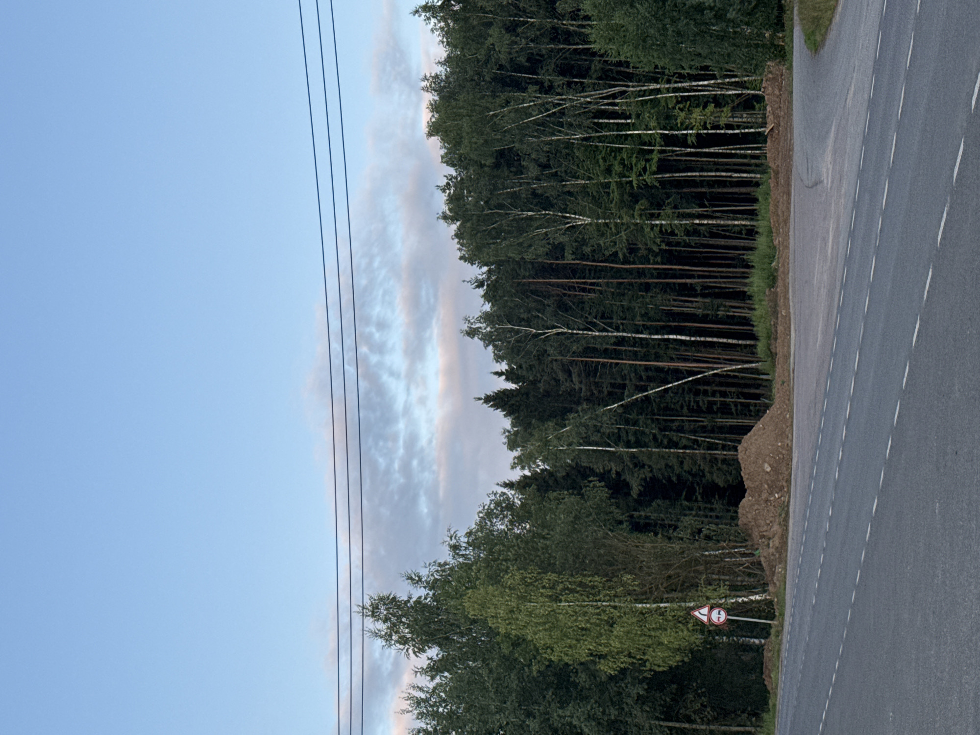 The image shows a paved road with white dashed lane markings leading into a forest. On the left side of the road, there is a circular traffic sign with a white background and red border, depicting two arrows indicating a left turn followed by a right turn. A pile of dirt is located in front of the forest. The sky above is a light blue with some wispy clouds. Three parallel power lines stretch across the upper part of the image. The forest consists of a dense mix of tall trees, including birches with white trunks and dark green conifers. The scene appears to be located near Аква Вилла Кп, Russia, based on the provided context. There are no people or animals visible in the image.