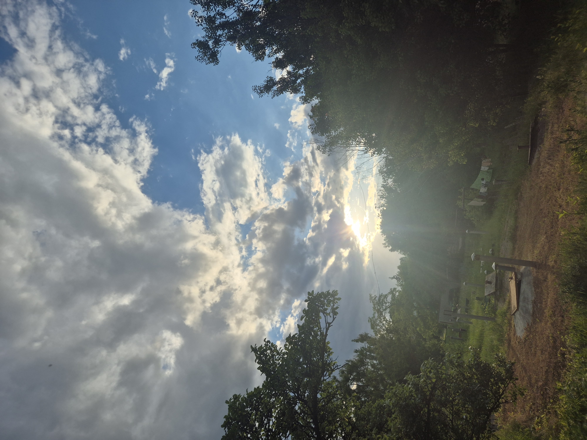 This is a landscape photograph taken outdoors, likely in a rural setting. The image is oriented vertically, with the top of the frame showing a bright blue sky filled with dramatic, wispy clouds. Sunlight streams through the clouds, creating a lens flare effect and casting rays of light across the scene. The sun appears to be low in the sky, suggesting it is either early morning or late afternoon.
The foreground and right side of the image are dominated by lush green trees and foliage. Some of the trees are in silhouette against the bright sky, while others are more illuminated. In the background, on the right side of the frame, there is a dirt path or clearing. Scattered on this ground are several man-made objects that appear to be beekeeping equipment, possibly beehives, arranged in rows. A clothesline with some items hanging on it is also visible in the mid-ground.
The overall mood of the image is serene and natural, with a touch of drama from the sunlight breaking through the clouds. The weather appears fair, with a mix of sun and clouds. The presence of beekeeping equipment suggests a location where apiculture is practiced, likely in a somewhat wooded or natural environment. There is no visible text in the image.