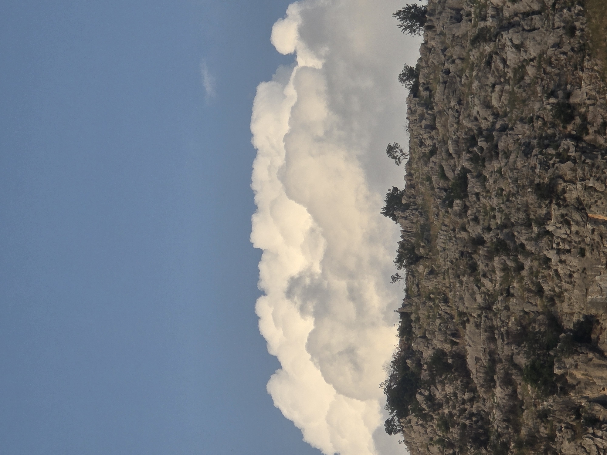 A high-angle, medium shot captures a rocky, barren mountainside against a bright blue sky. The foreground is dominated by the textured surface of the mountain, with numerous gray rocks and scattered patches of dark green foliage. A few sparse trees with dark green leaves are visible on the crest of the mountain. Above the mountain, a massive, billowy white cloud formation stretches horizontally across the frame. The sky is clear blue above the cloud, with a few small, wispy clouds present in the upper right corner. The lighting suggests it is daytime, likely late afternoon, given the soft illumination of the clouds.