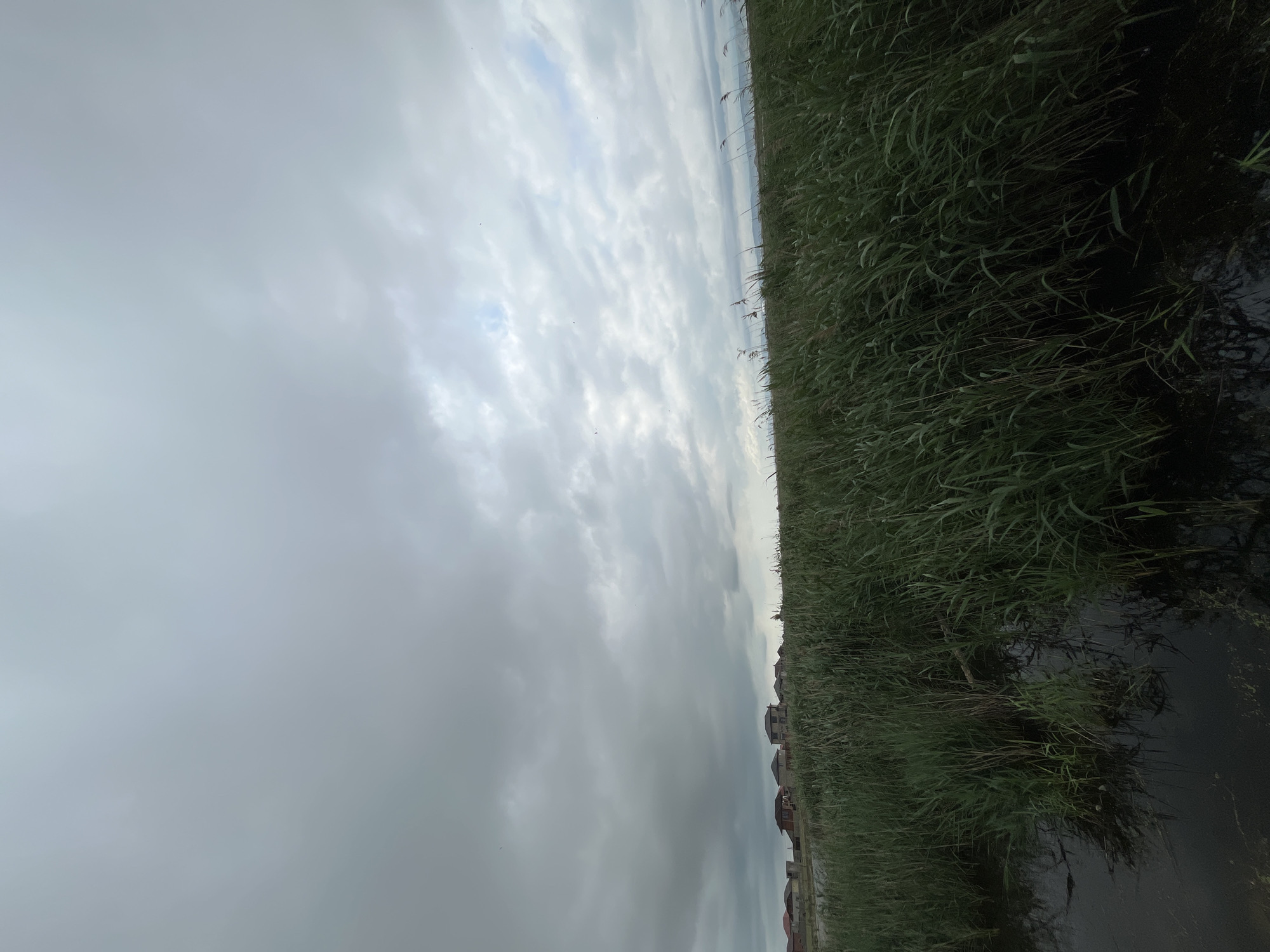 The image shows a cloudy sky above a patch of tall grass bordering a body of water. In the distance, buildings that appear to be residential houses are visible. The scene is likely located in Kaspiysk, Russia, given the prompt's information. No people are visible in the image. The predominant colors are grey and green.