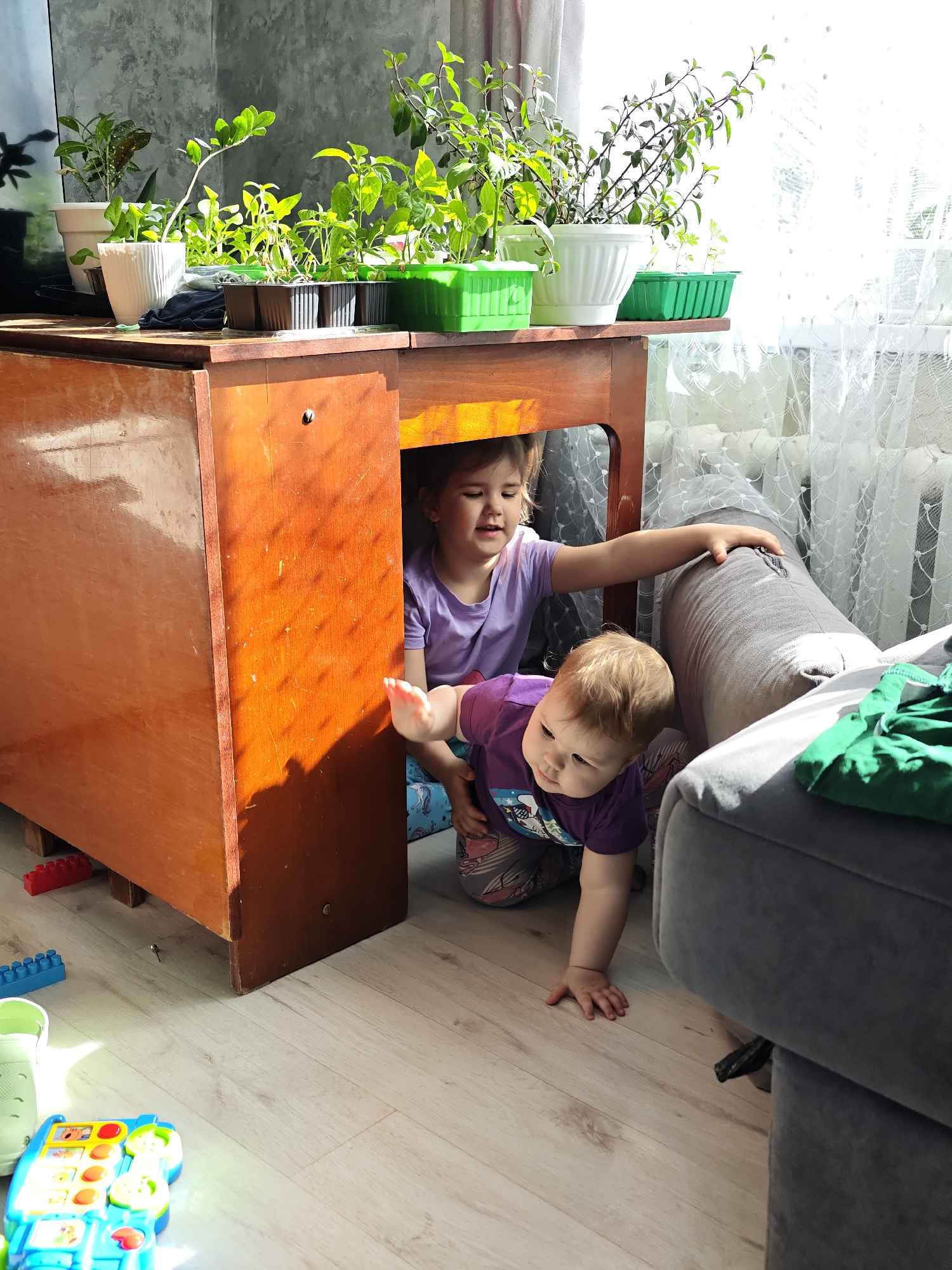 Two children, one toddler-aged and one preschool-aged, are playing under a wooden table. The toddler is crawling out from under the table, while the older child is seated under the table with one hand resting on a gray couch. Numerous potted plants are on top of the table. Children's toys are scattered on the floor near the table. The scene is located in a room in Уральское, Russia. A window with light filtering through curtains is visible in the background. The floor is light-colored wood.