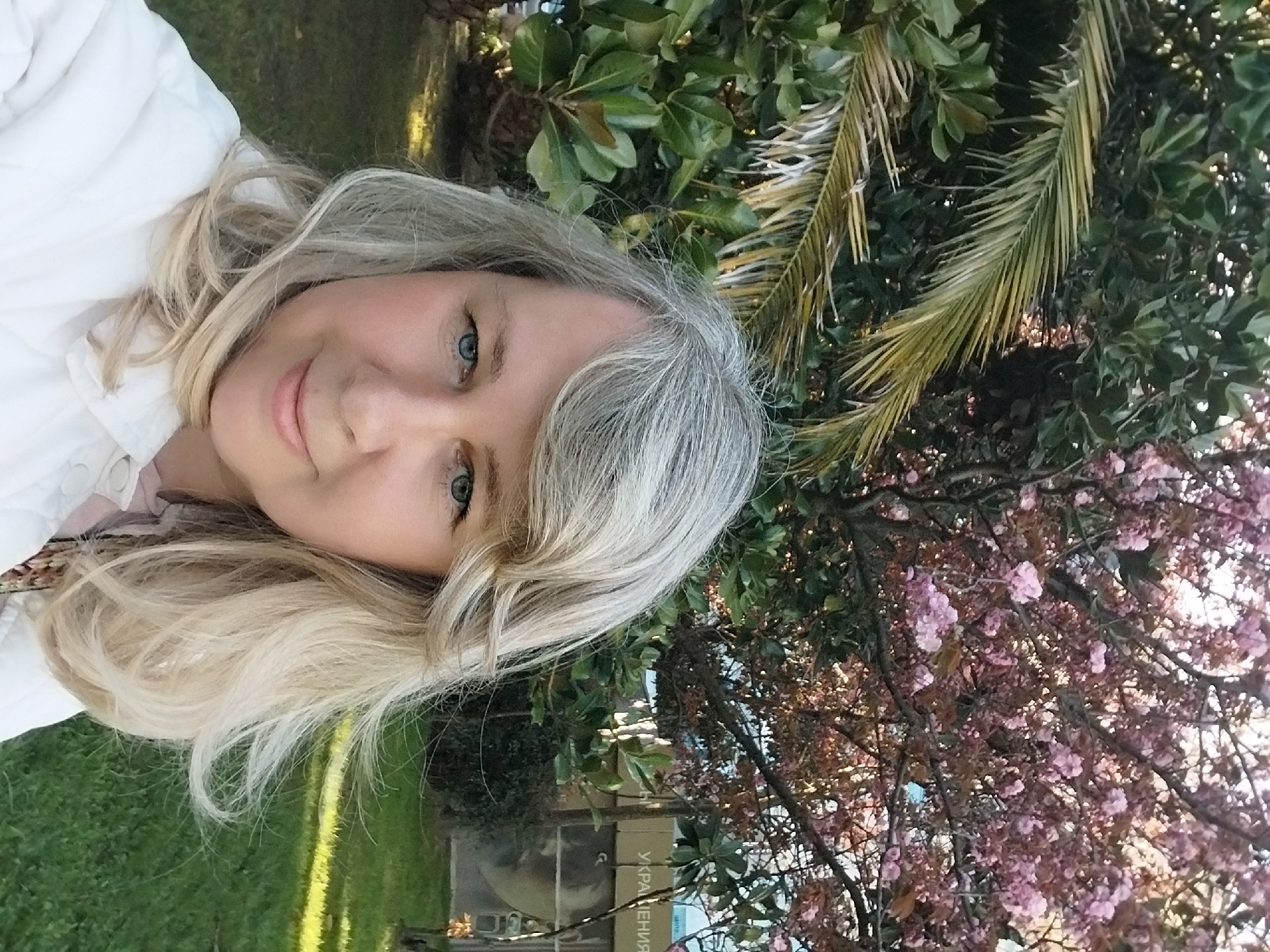 A close-up selfie captures a smiling woman with wavy blonde and gray hair and striking blue eyes, angled slightly towards the camera. She wears a light-colored jacket or top and has a pleasant, gentle expression.
The outdoor background is rich with diverse foliage, suggesting a lush park or garden environment. Visible elements include dark green palm fronds, trees with large, glossy green leaves, and a vibrant flowering tree adorned with numerous pink blossoms, possibly a cherry tree. Patches of green grass are also visible on the ground.
The scene is well-lit by natural sunlight, indicating a bright, sunny day, likely in the late morning or afternoon. In the lower right portion of the image, partially obscured by greenery, a rectangular object, possibly a sign or display, shows Cyrillic text. The word "УКРАШЕНИЯ" (Ukrasheniya), which translates to "DECORATIONS" or "JEWELRY," is discernible. This blend of subtropical flora and flowering trees, along with the text, is consistent with the location context of Sochi, Russia. The overall atmosphere conveys a sense of tranquility and contentment.