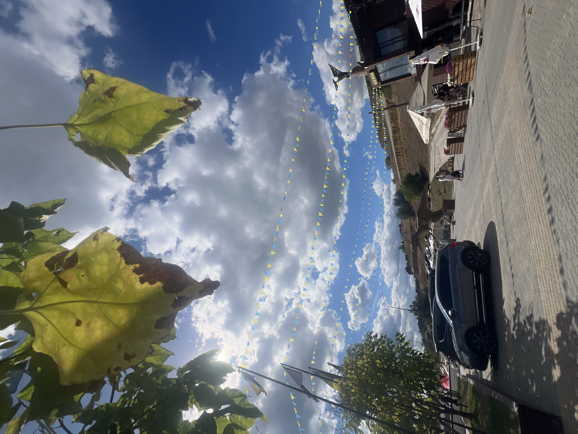 The image depicts an outdoor scene on a sunny day with a vibrant blue sky filled with scattered white clouds. In the foreground, large, partly withered yellow and brown leaves hang from a tree branch, partially obscuring the sky. Below them, strings of small, triangular yellow and blue flags are stretched across the sky in multiple rows, creating a festive atmosphere.
To the left, a row of trees with green foliage lines a paved area. A dark gray SUV is parked on the paving stones. Further back, a dirt slope rises, and on top of it, there are buildings and tents, suggesting a commercial area or a park. A wooden building with large windows is visible on the right, adorned with a decorative bird sculpture and a sign with Cyrillic text that reads "КАВ'ЯРНЯ" (Kavyarnya), meaning "Coffee shop". Several white umbrellas are set up in front of this building, providing shade for outdoor seating areas.
In the middle ground, a few people are visible. One person is pushing a stroller on the paved pathway. Another group of people is gathered near the coffee shop. In the distance, on the slope, there appears to be a large dinosaur statue, indicating a theme park or attraction. The overall scene suggests a lively outdoor venue, possibly a park or a resort, in Fontanka, Ukraine, during the daytime.