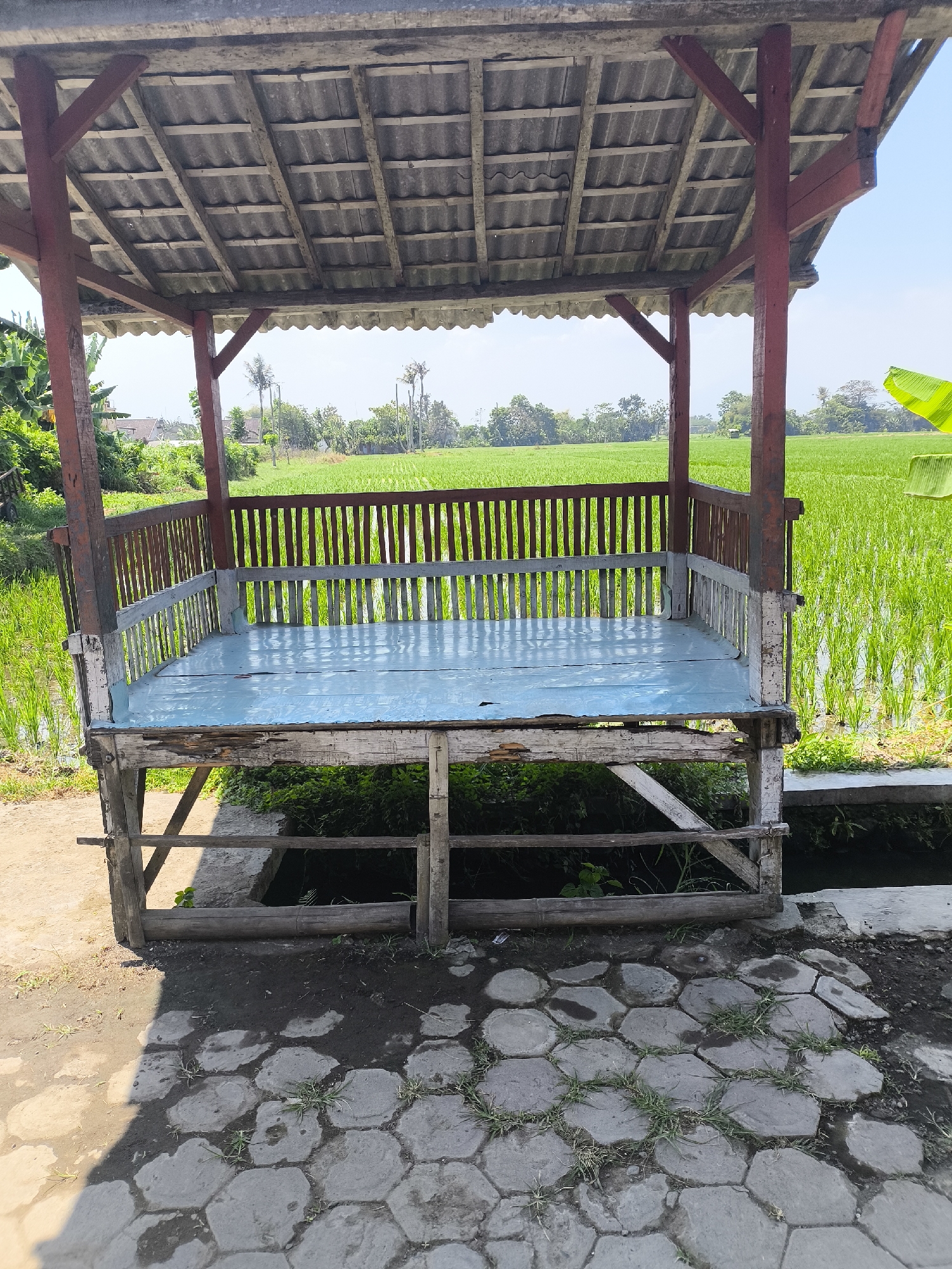 The image depicts an open-sided wooden gazebo with a corrugated roof, situated amidst a lush green rice paddy field under a clear blue sky. The gazebo has a light blue wooden floor and a railing made of vertical wooden slats painted in alternating red and white. The structure appears weathered, with peeling paint and visible wear on the wood. In the foreground, a hexagonal-tiled pathway is visible, with some grass growing between the stones. The background shows more of the vibrant green rice fields, distant trees, and some houses, suggesting a rural or semi-rural setting in the city of Lumajang, Indonesia. The lighting indicates it is daytime, with shadows cast by the gazebo onto the tiled path. There are no people visible in the image.