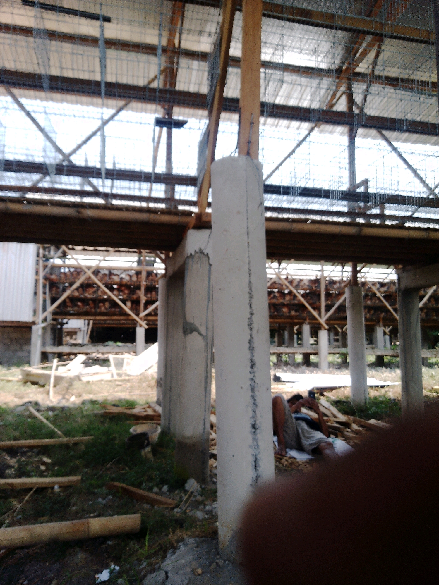 The image shows a man lying down on the ground in what appears to be a construction site or farm in Rembun, Indonesia. He is wearing shorts and a t-shirt and is looking at his phone. The man is lying next to some construction materials, including wooden planks and a white bucket. In the background, there are chicken coops stacked with chickens. The overall scene suggests a rural or semi-rural environment, possibly a farm or agricultural facility undergoing construction or renovation. The lighting suggests it is daytime.