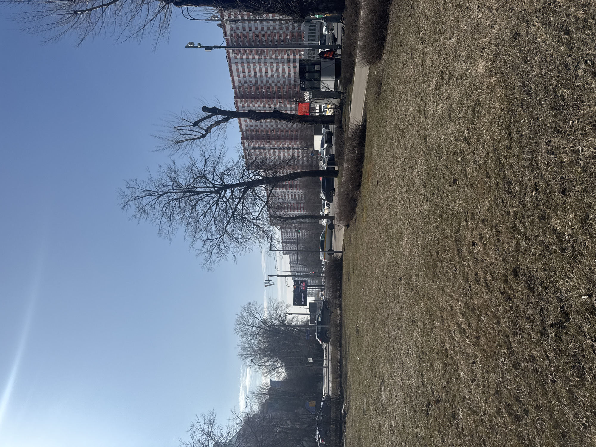 The image depicts a wide urban streetscape in a residential district of Moscow, Russia, during late winter or early spring under a clear, bright blue sky with high sun.
In the foreground, a large, dry, matted patch of yellowish-brown grass occupies the lower half of the frame, indicating dormant vegetation. A paved pedestrian path, light gray in color, runs diagonally from left to right across the middle ground, bordered by sparse, dark green bushes.
The midground is dominated by a multi-lane asphalt road, partially obscured by the path and bushes. Multiple vehicles are present on the road, including dark sedans, an SUV, and a yellow-and-white taxi, suggesting active traffic flow. Bare deciduous trees with dark, gnarled trunks and branches are scattered along the median strip separating the road from the foreground and lining the far side of the road. Overhead, streetlights and traffic signals are visible; a green light is illuminated on the right. A large digital billboard with Cyrillic text, reading "Ты в хорошей компании!" (You are in good company!), is visible above the road on the left side.
On the far right sidewalk, a small, modern-style kiosk or public transport stop structure is visible. A person wearing a bright orange reflective vest is standing near this structure, facing away from the viewer. Other pedestrians are partially visible further down the sidewalk.
The background features several imposing, multi-story residential buildings with a distinctive, repetitive red and white checkered facade pattern, characteristic of mass housing construction found in Moscow's residential areas. Additional, less distinct buildings and bare trees are visible in the far distance.