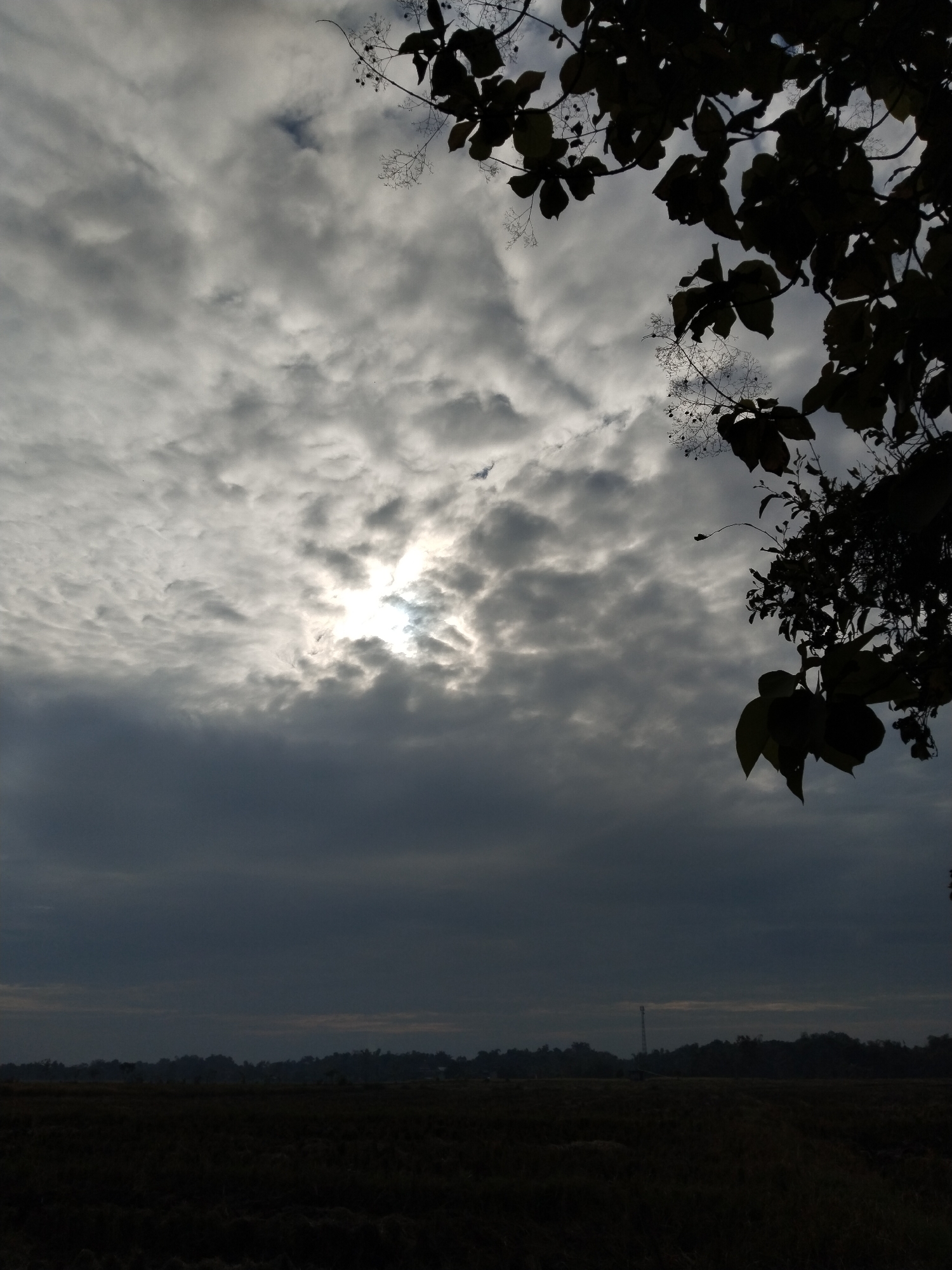 A low-angle, silhouetted shot captures a dark, overcast sky with the sun peeking through scattered clouds. In the foreground, dark tree branches and leaves frame the upper right corner of the image. Below the sky is a dark, silhouetted landscape with a line of trees in the distance and a field of dry grass in the very dark foreground. A tall, slender tower is visible in the middle distance. The scene appears to be outdoors in a rural or undeveloped area.